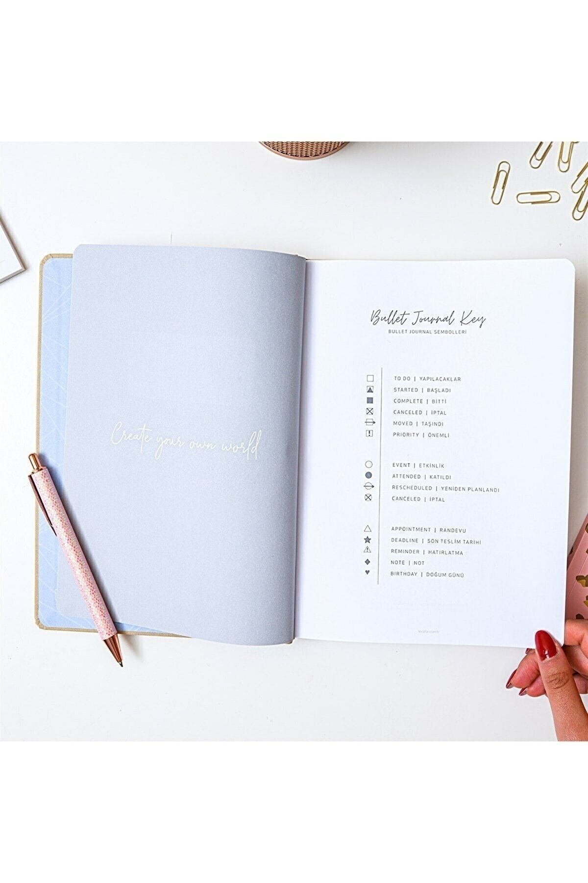 Le Color-17X24 Linen Pointed - Koala Model Bullet Journal Notebook 4