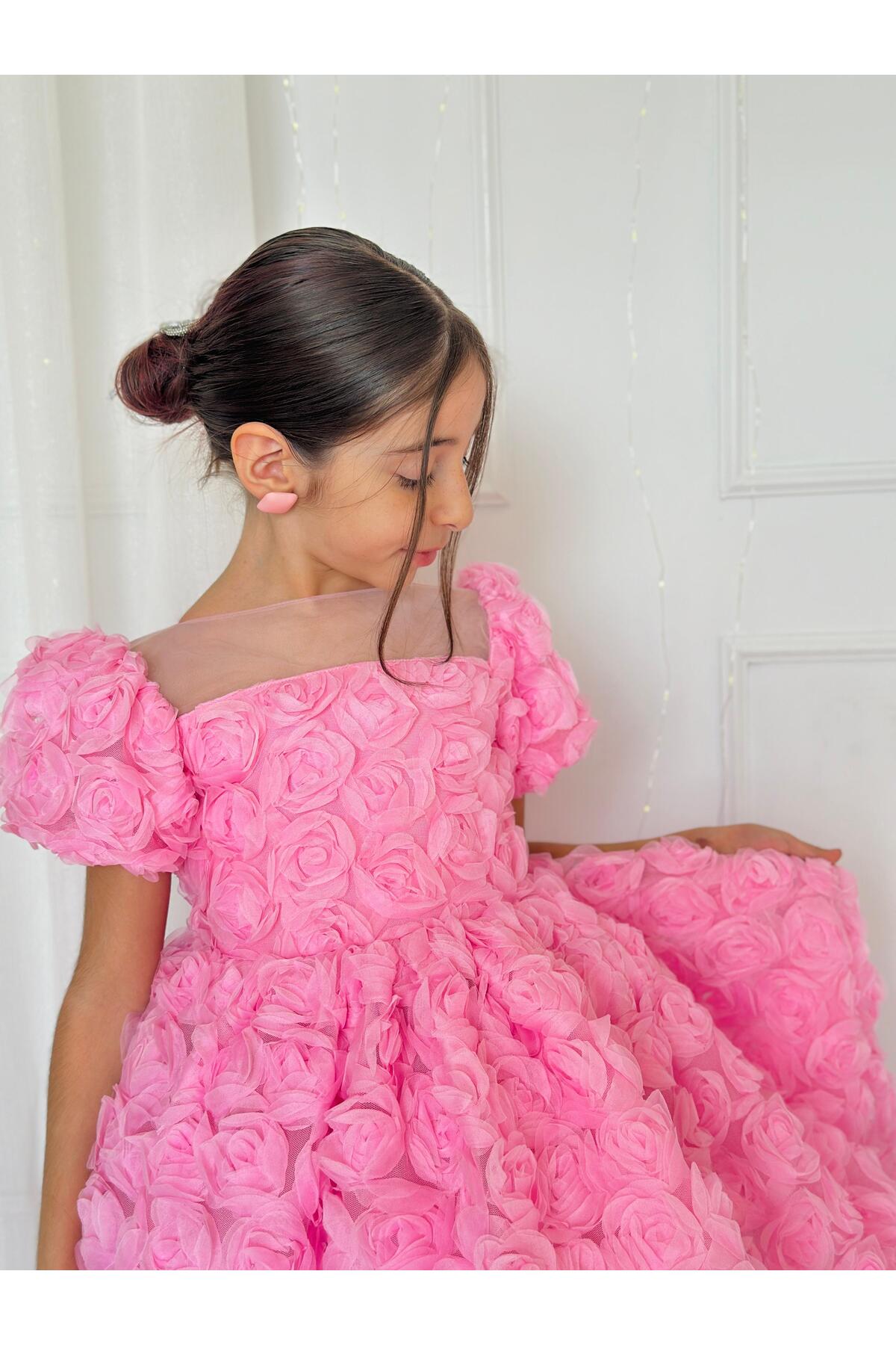 Hly Karol Tasarım Pembe Güllü Diana Vintage Kız Bebek Elbise,Doğum günü elbise,fotoğraf çekim elbise,0-12 Yaş Uygun fotoğrafı 4 (önizleme)