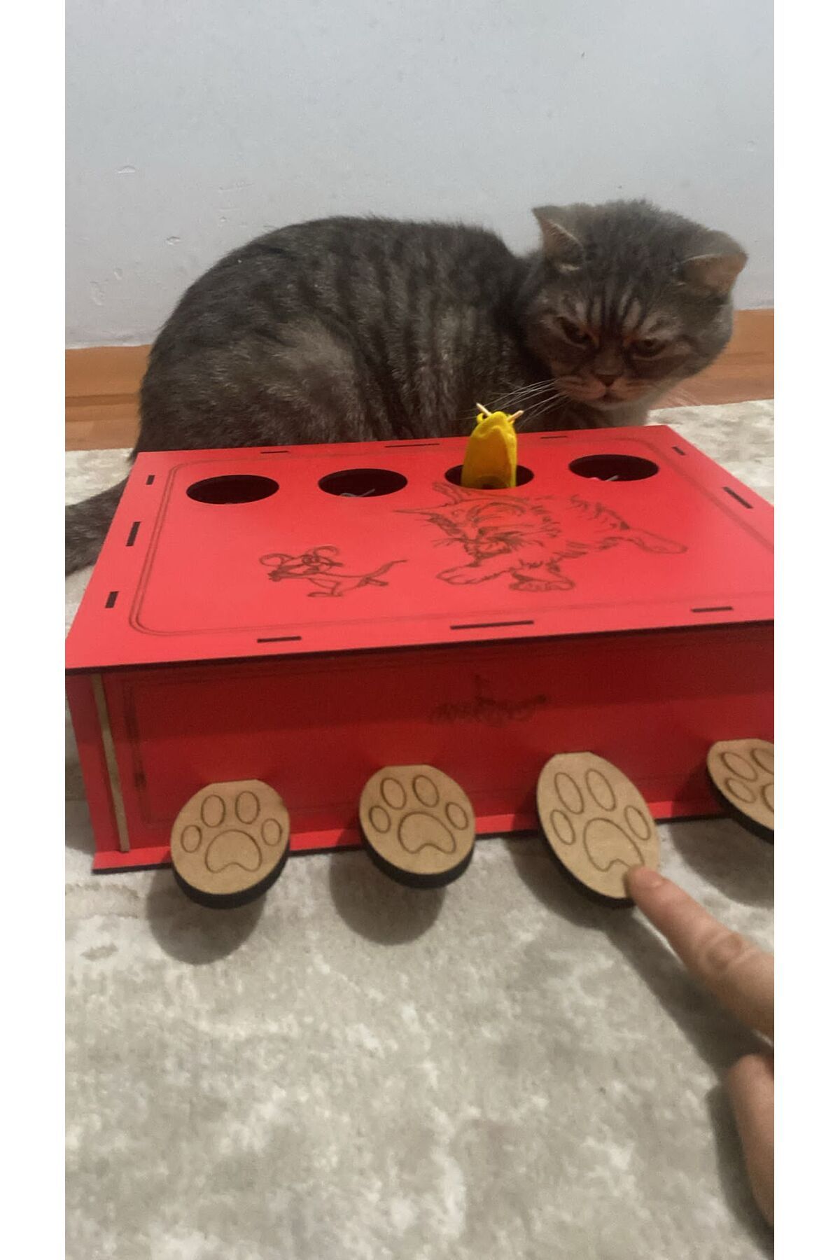pethomealpi-Wooden Cat Toy - Mouse Hunt Catch Game 2