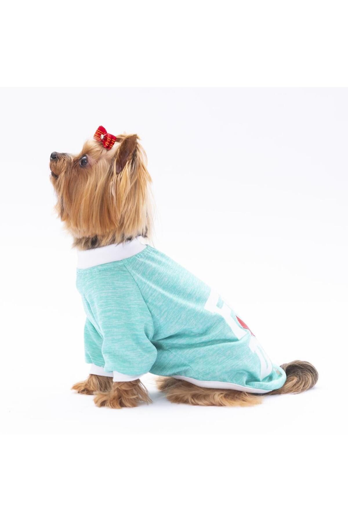 Pawstar-Mint Fun Day Cat Dog Sweatshirt - Cat Dog Outfit 3