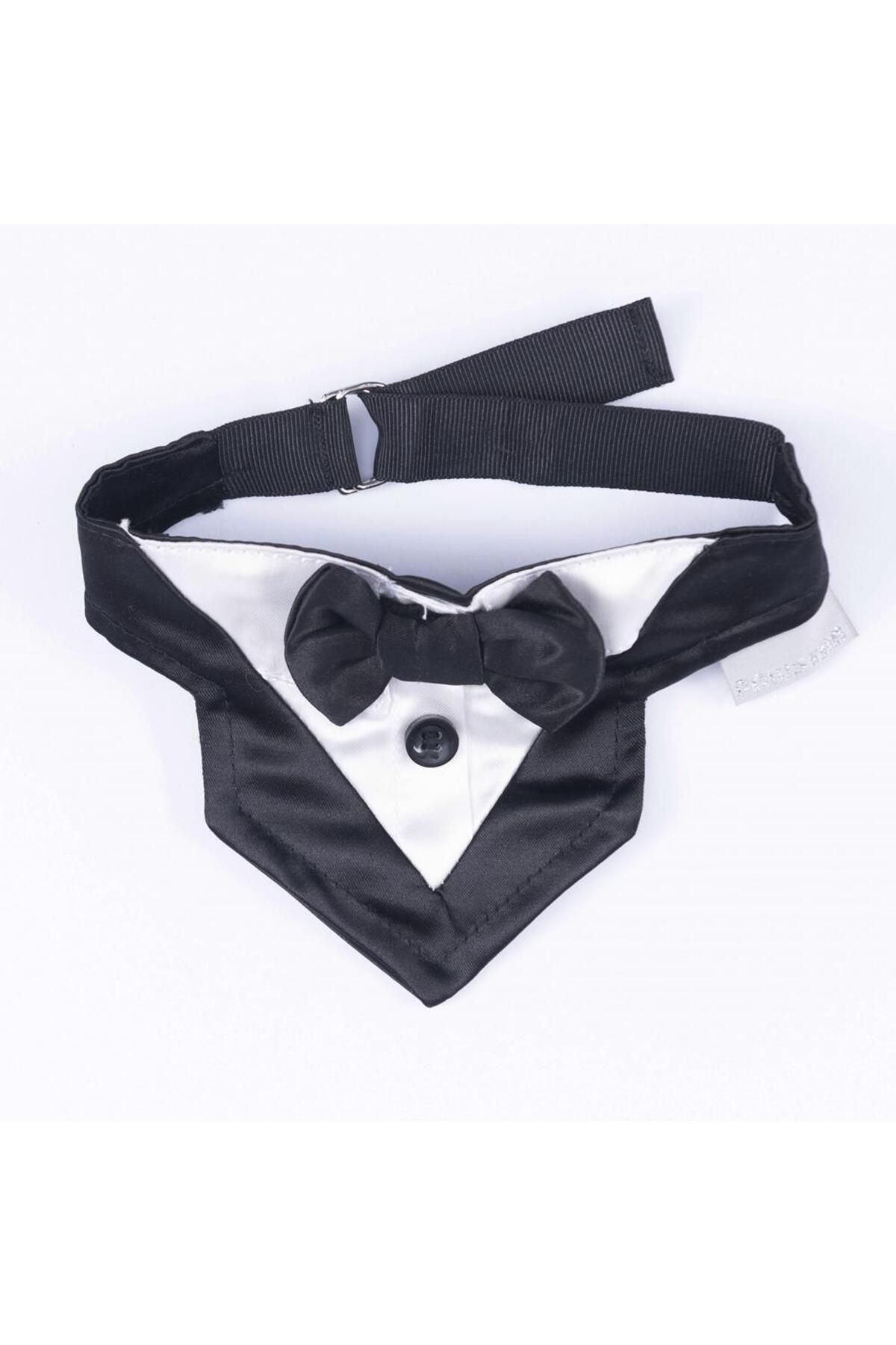 Pawstar-Black Tuxedo Cat Dog Scarf Pet Bandana 4