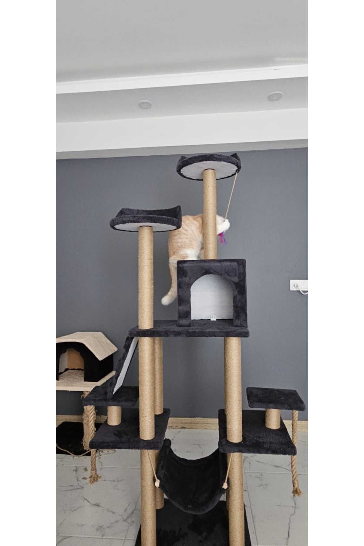 pethomealpi-- Castle Multi-Storey Nest Cat Scratching and Play Platform 3