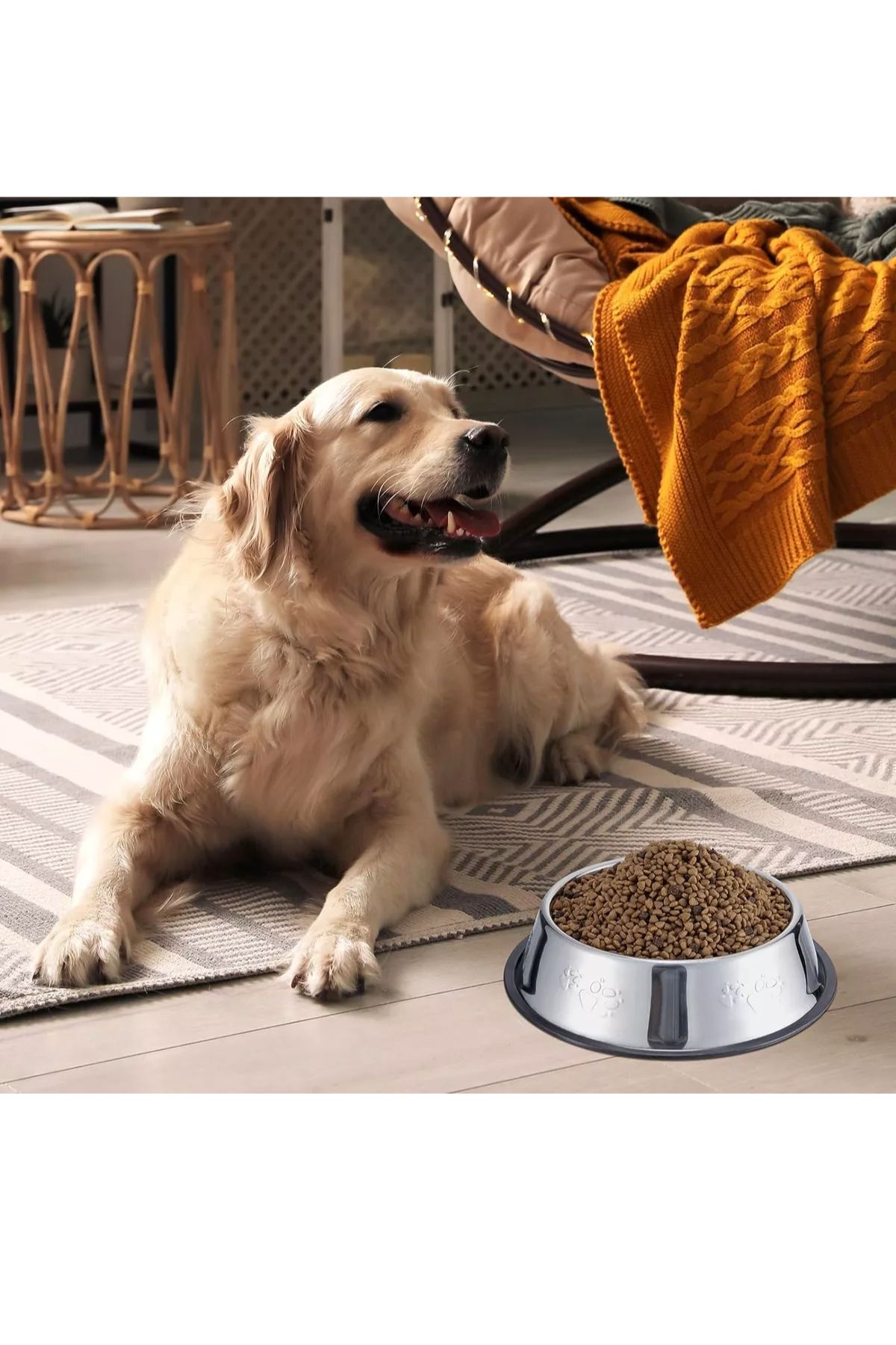 Greathings-18 cm Metal Cat |   Dog Food Bowl, Water Bowl, Steel, Patterned Food and Water Bowl 7