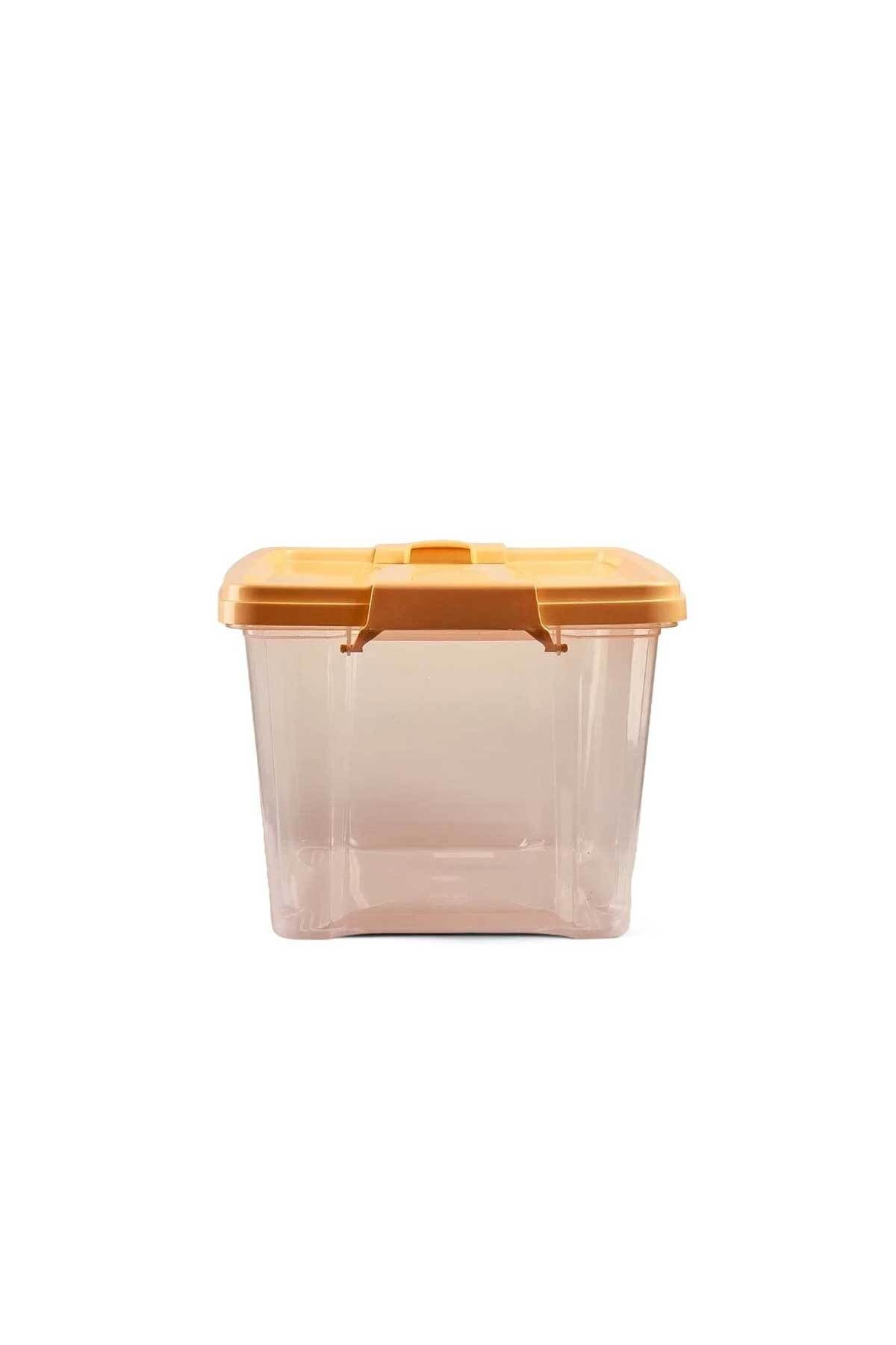 QUTU-Q-Lear Box 11 L Clear Storage Box with Lock 3