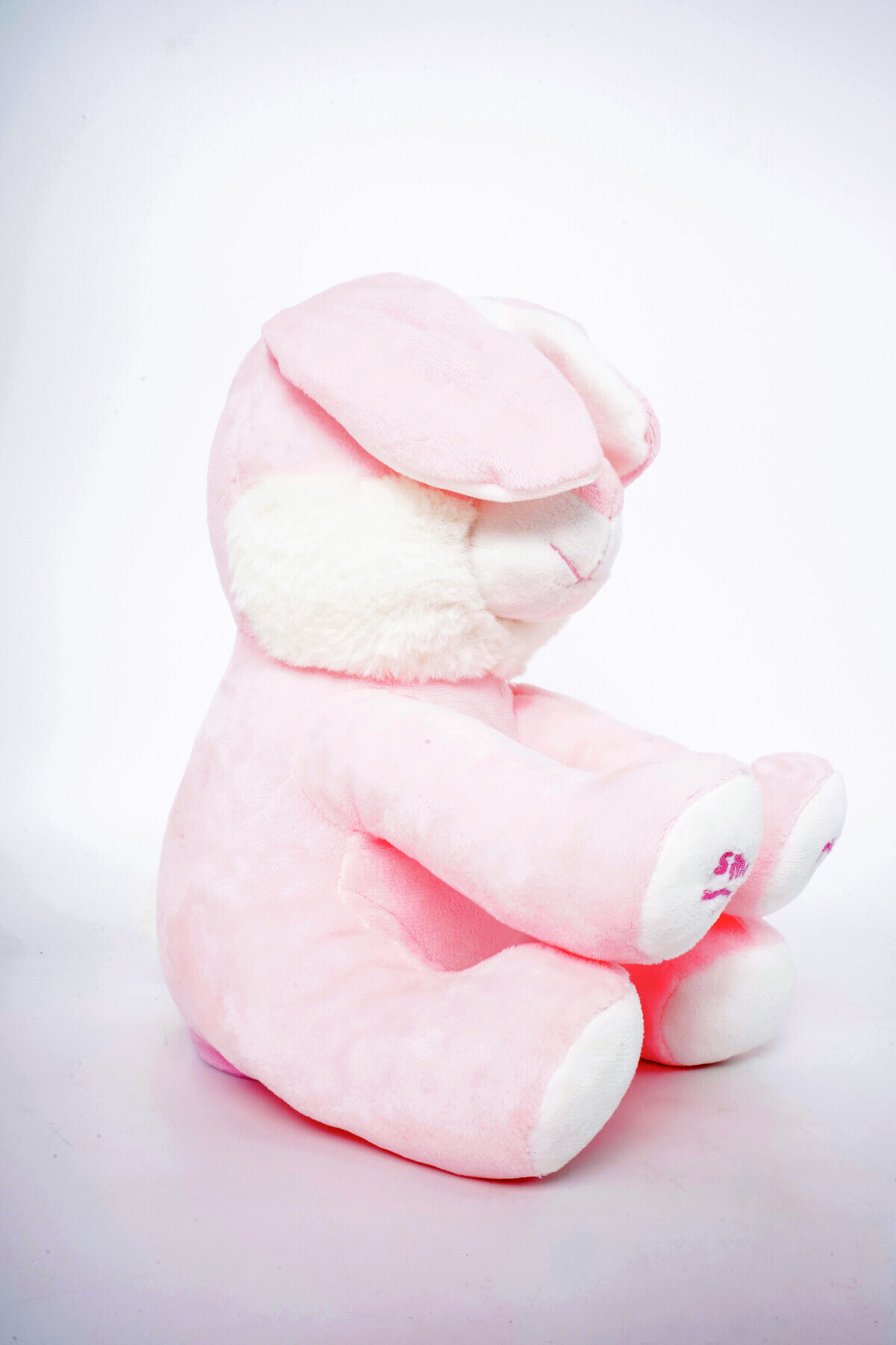 Peek a Boo Bugs ۱۰ اینچی باتری‌دار