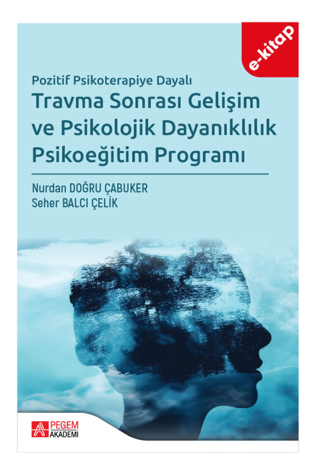 Pegem Akademi Travma Sonrası Gelişim ve Psikolojik Dayanıklılık Psikoeğitim Programı (e-ktiap)