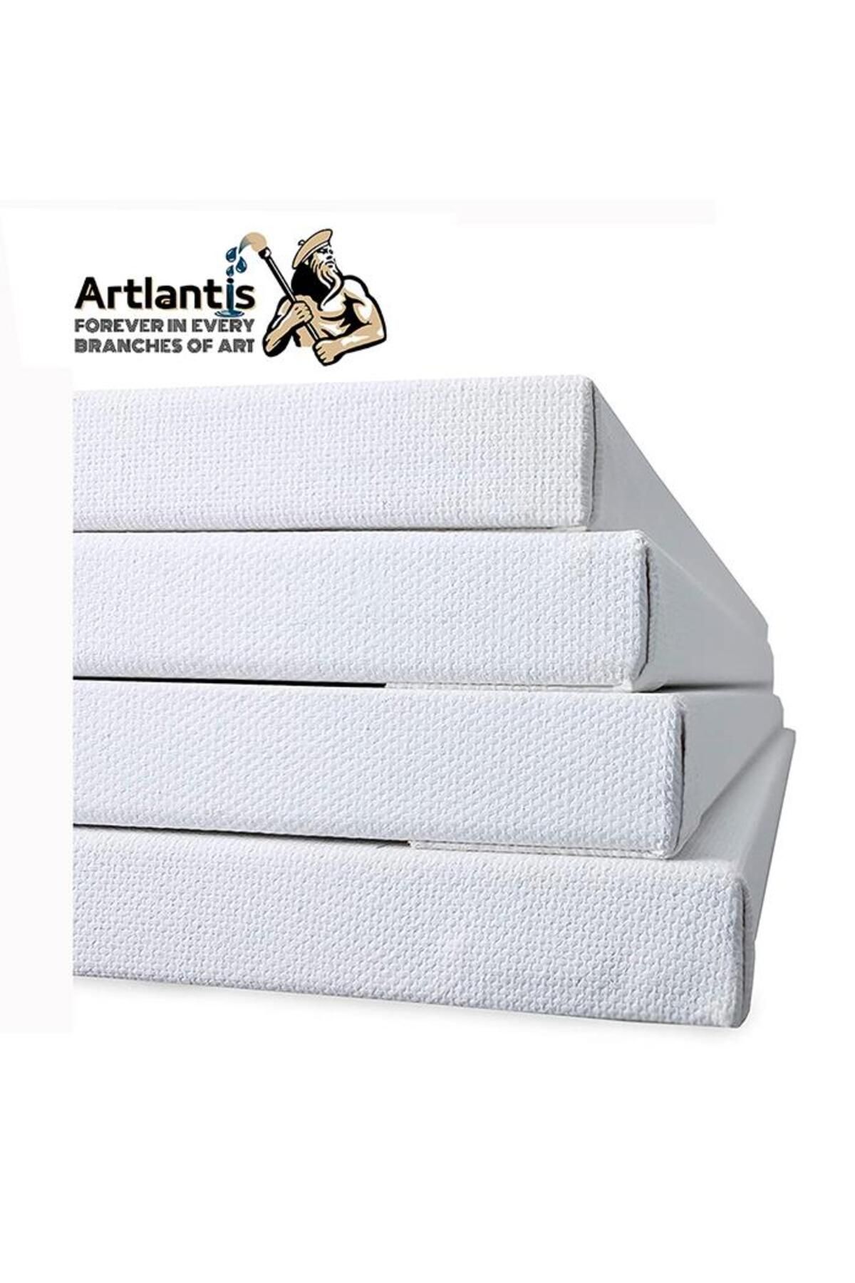Artlantis-Canvas 35x50 Back Studded Lined 3 Pieces Painting Canvas 35*50 Student Canvas Acrylic Paint Oil Painting I 6
