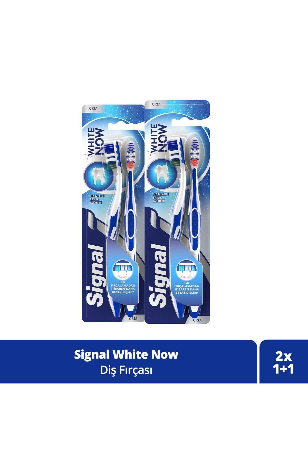 Signal White Now Beyaz Dişler Diş Fırçası 1 1 X2 Adet