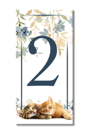 MODA CERO Eğlenceli Yavru Kedili Seramik Kapı Numarası No:02