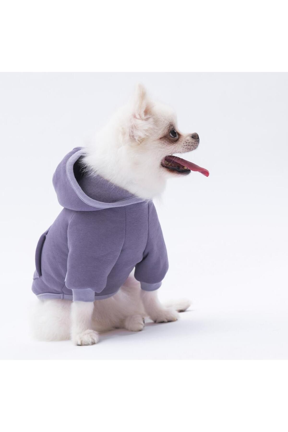 Pettrend Koyu Lila Kanguru Cepli Kedi-köpek Hoodie- Sweatshirt Kedi Köpek Kıyafeti