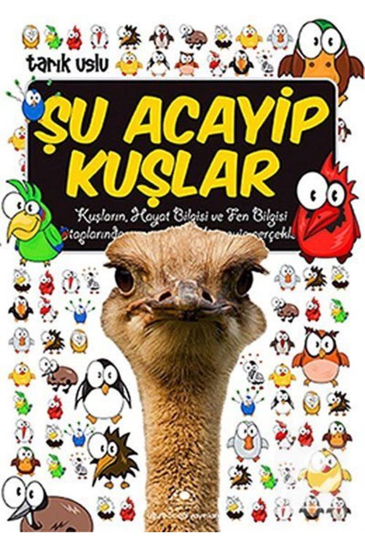 Uğurböceği Yayınları Şu Acayip Kuşlar