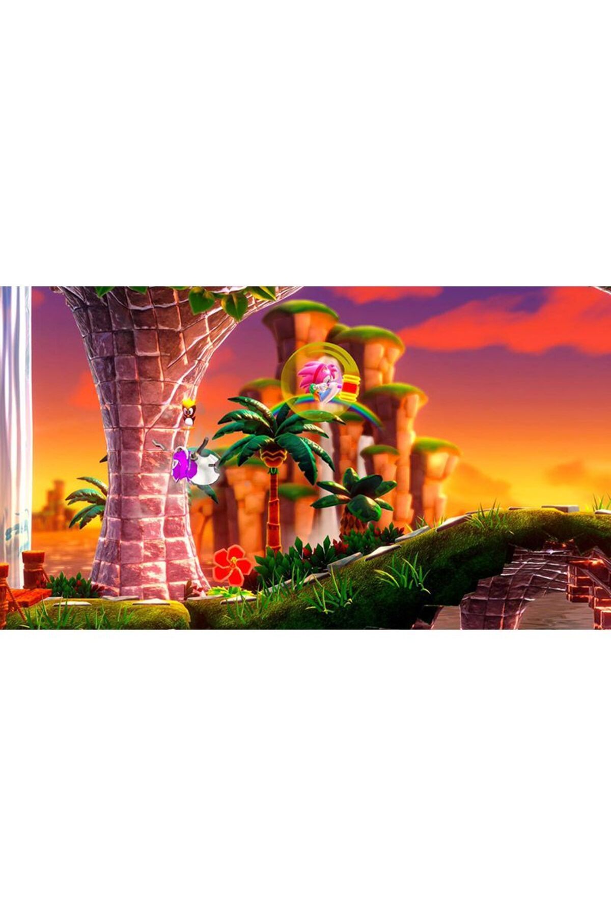SEGA-سونيك سوبر ستارز بلاي ستيشن 4 7