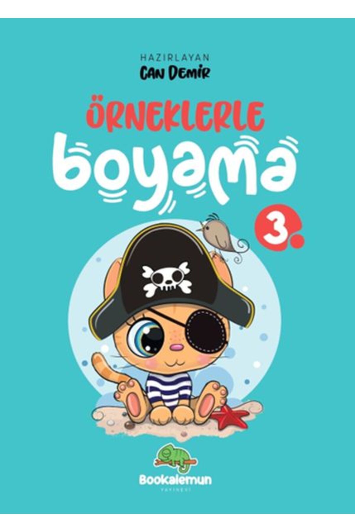 bookalemun yayınevi Örneklerle Boyama 3