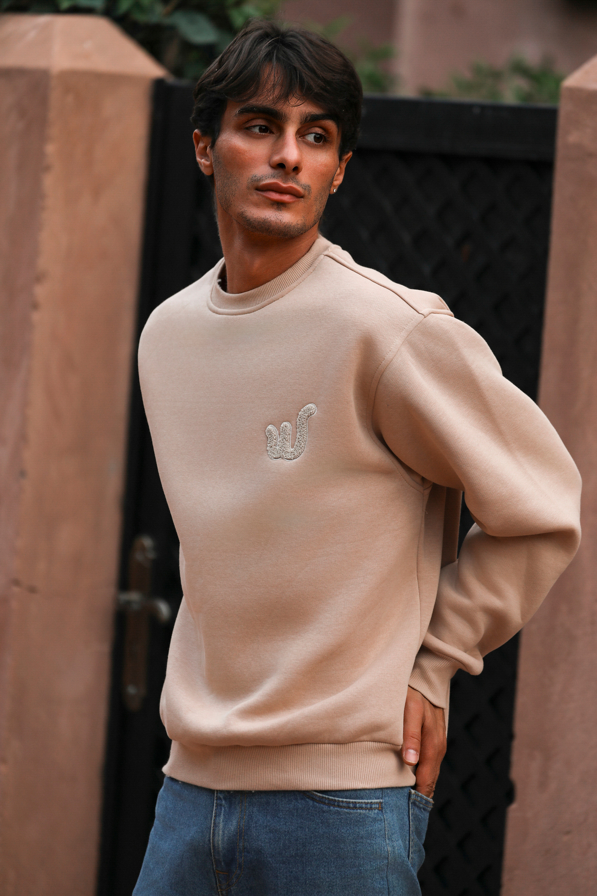 Whish  Viento Sand Regular Fit Üç İplik Sweatshirt