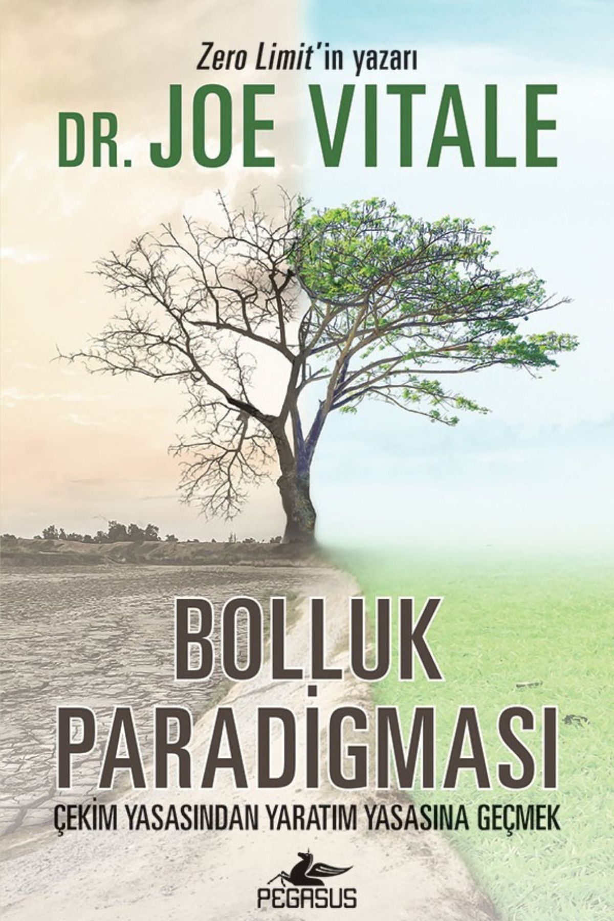 Pegasus Yayınları Bolluk Paradigması: Çekim Yasasından Yaratım Yasasına Geçmek - Joe Vitale