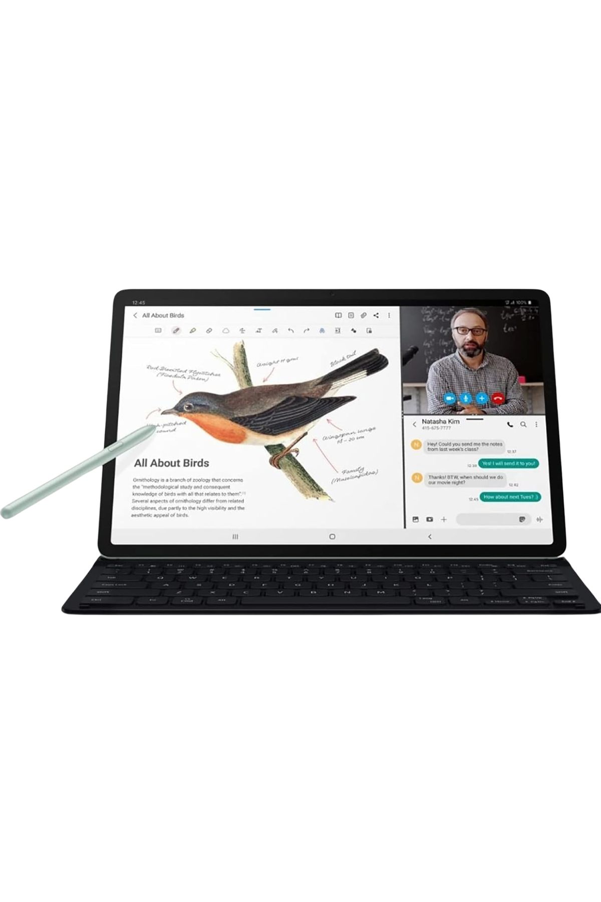 Techmaster-Samsung Galaxy Tab S7 Fe - Sm-T730, Sm-T733, Sm-T736B Model Compatible S Pen Touch Stylus Pen and Replacement Nib 7