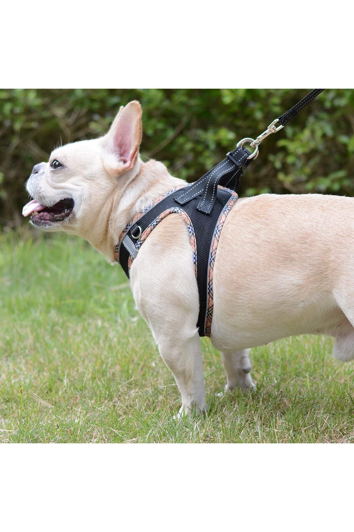 DORAMIO-Small Dog Collar for Puppy, Reflective, Breathable and Soft Padding 6