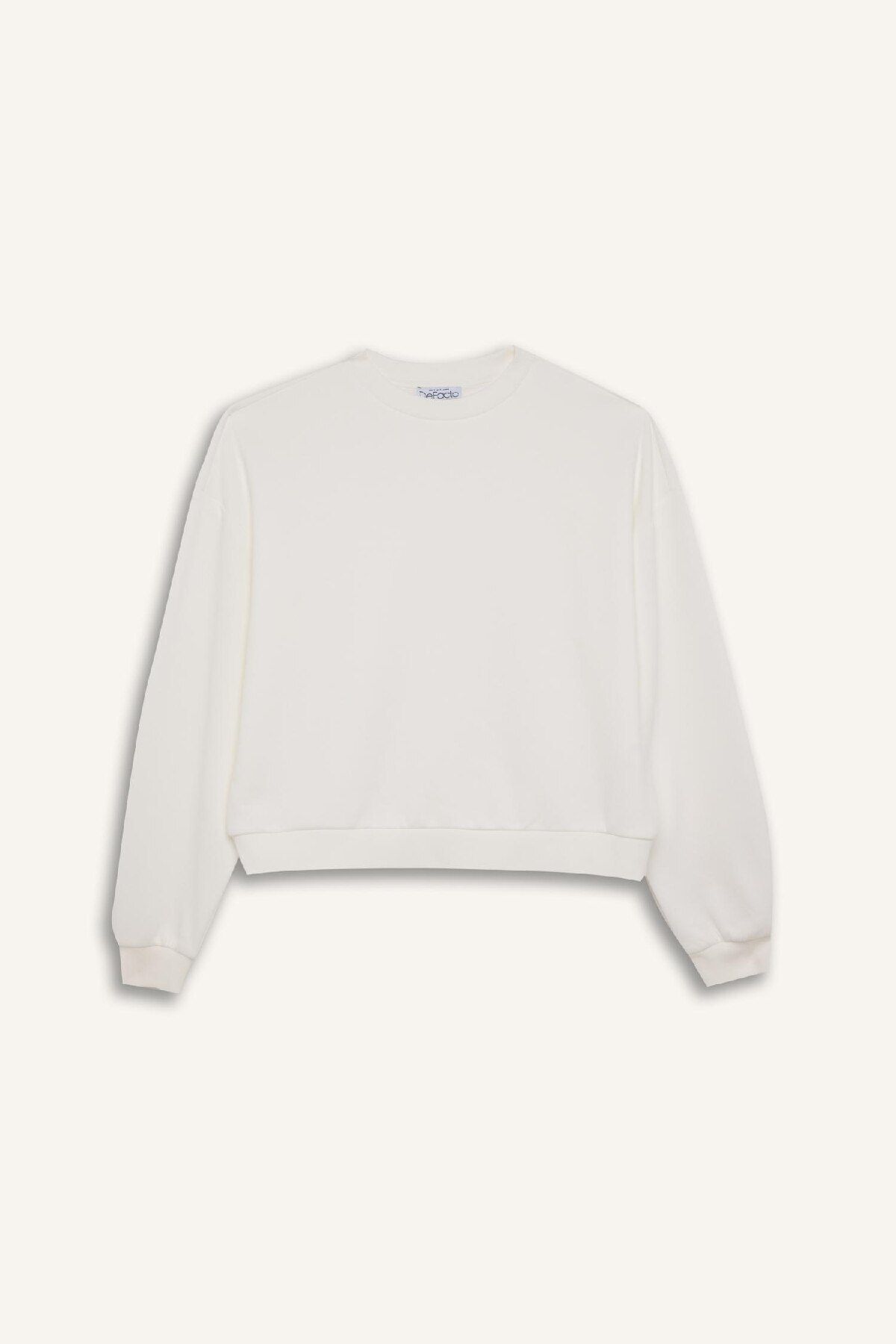 DeFacto-Regular Fit Crew Neck Thick Basic Plain Sweatshirt D6645Ax24Wn 7