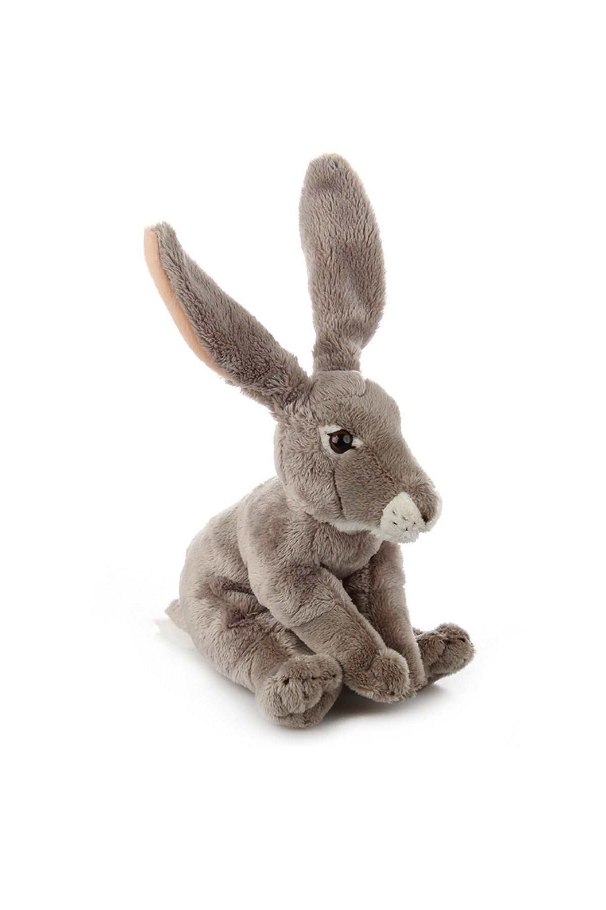 NATIONAL GEOGRAPHIC-Plush Premium Jack Rabbit 6inch 1