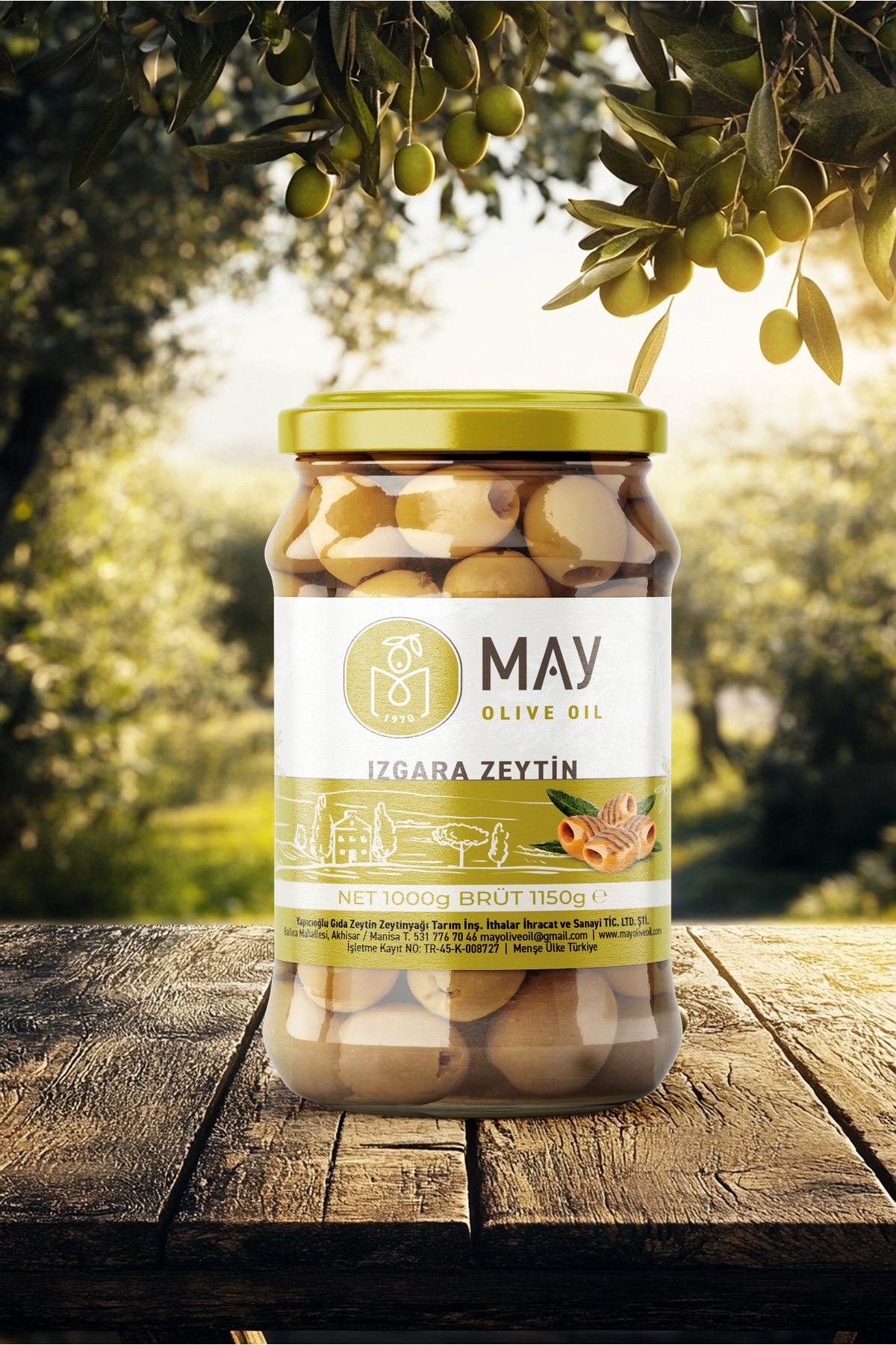 Doğal Yeşil Izgara Zeytin - 1KG | MAY Olive Oil