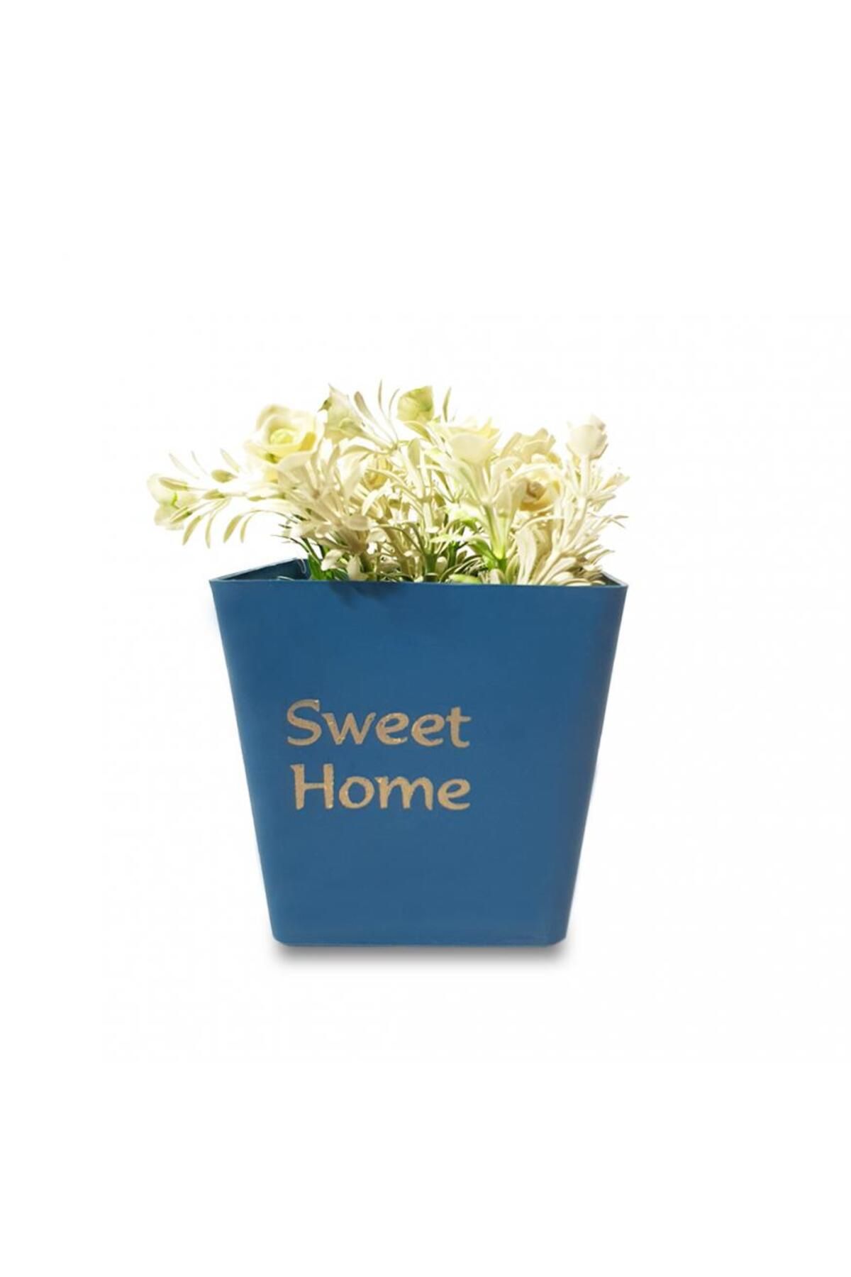 Elioure Sweet Home Tasarımlı Mavi Dekoratif Saksıda Canlı Çiçek Keyfi