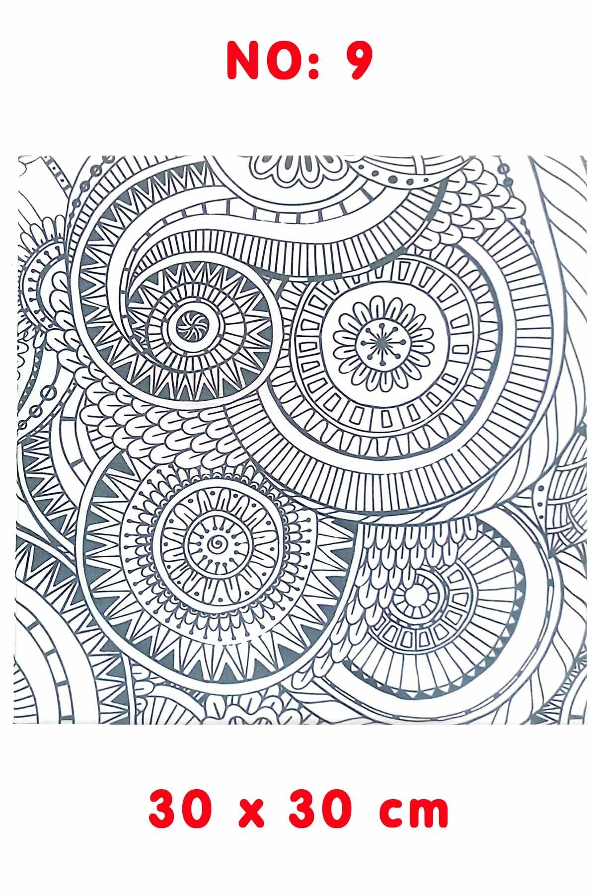 Ardışık Yayıncılık Kanvas Tuval Mandala Boyama No:9 30x30 cm
