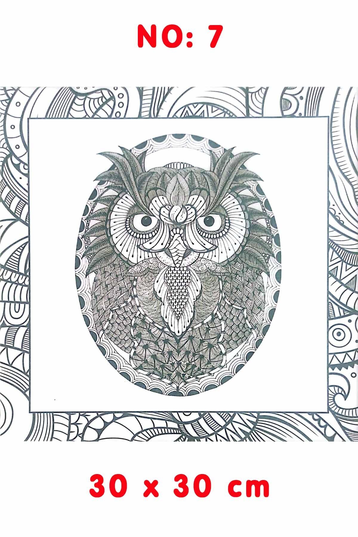 Ardışık Yayıncılık Kanvas Tuval Mandala Boyama No:7 30x30 cm