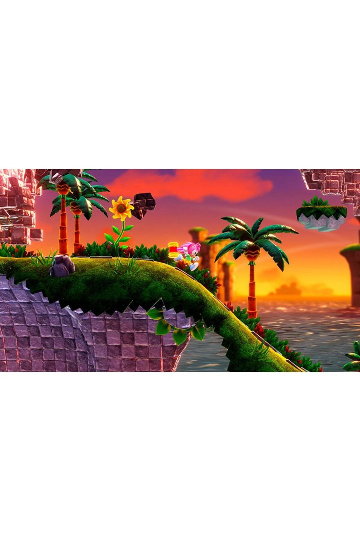 SEGA-سونيك سوبر ستارز بلاي ستيشن 4 6