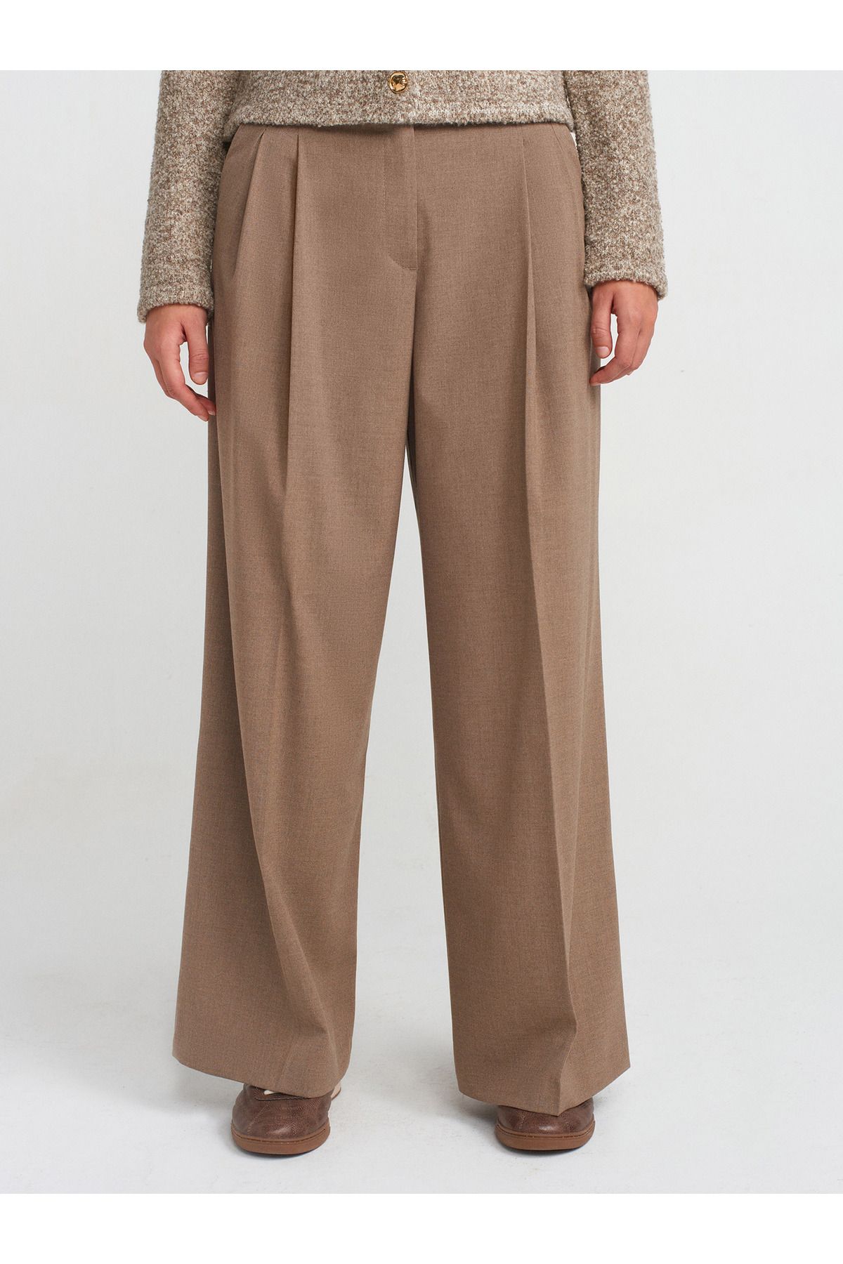 Dilvin-71576 Model - Camel Color Double Pleated Trousers 3