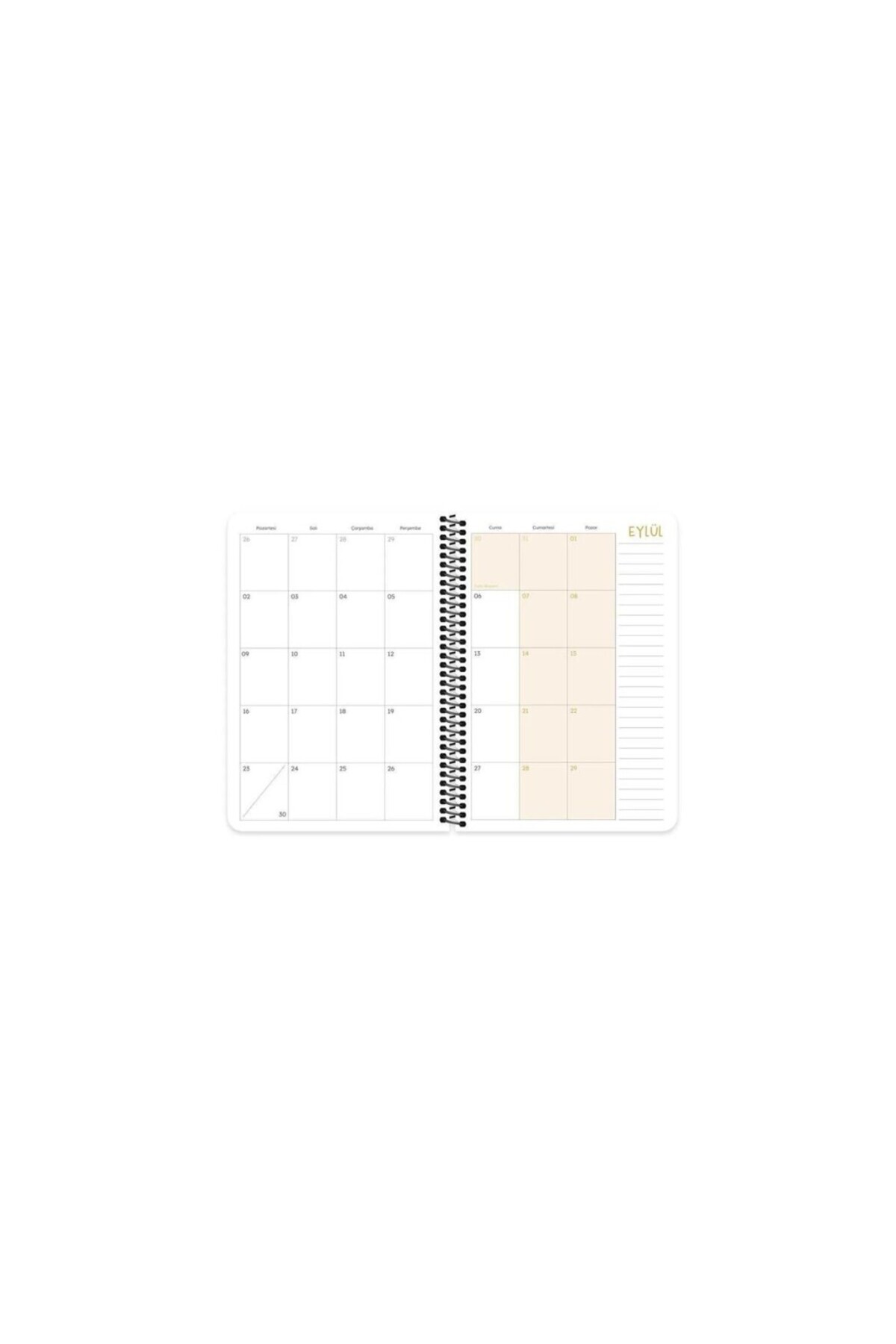 KESKİN COLOR-A5 Spiral Academic Agenda - Sharp Feel Things, I Want to Rest 5