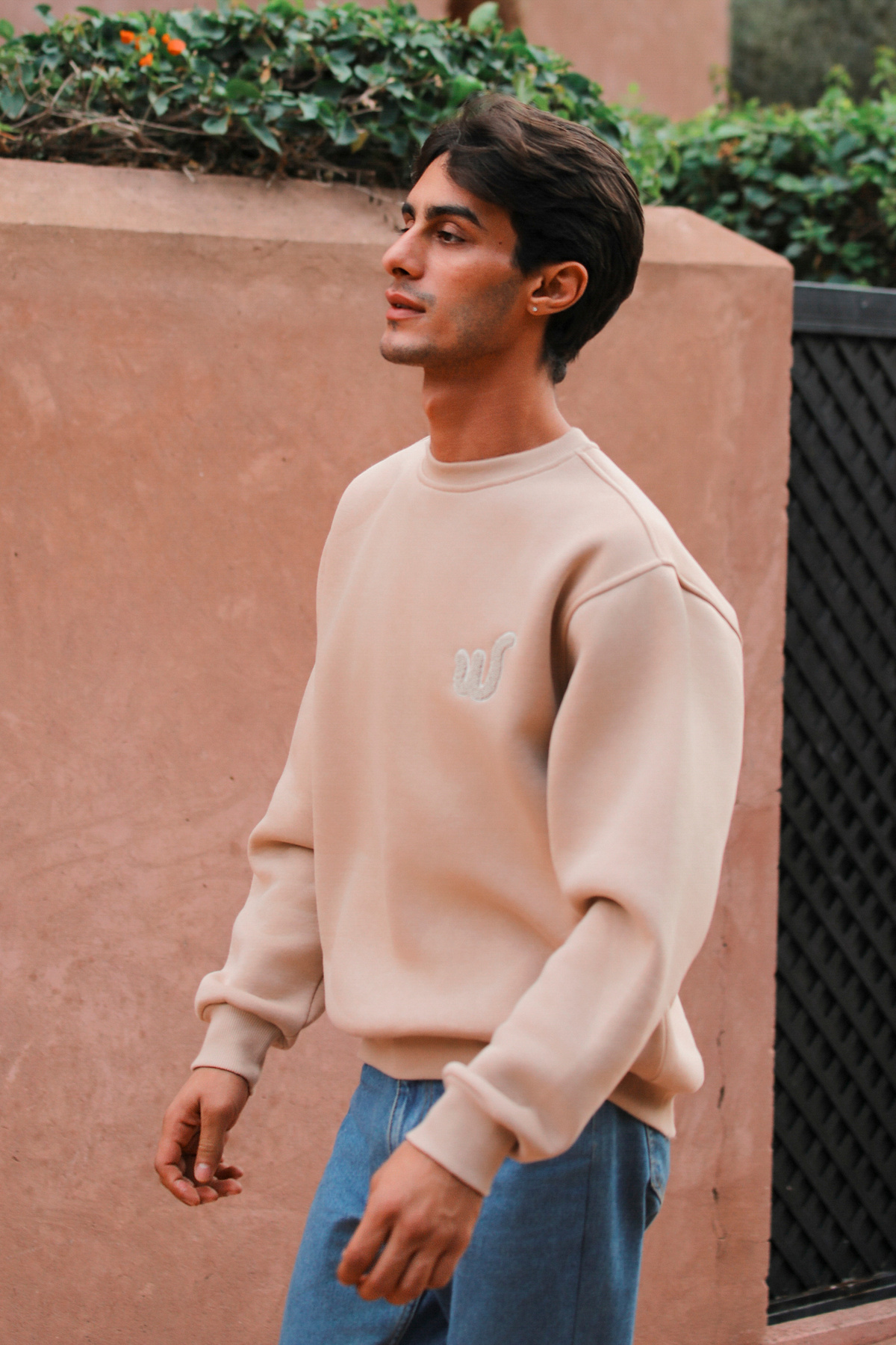 Whish  Viento Sand Regular Fit Üç İplik Sweatshirt - Görsel 5