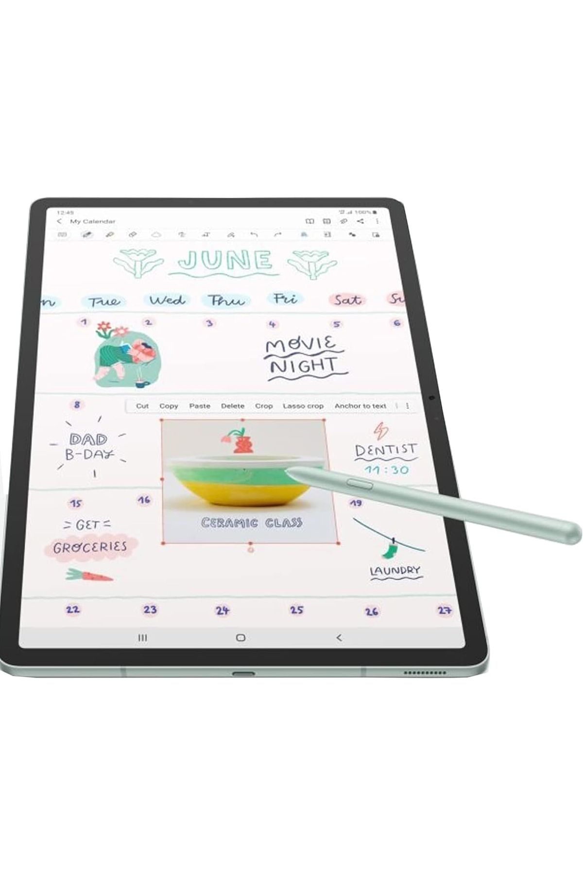 Techmaster-Samsung Galaxy Tab S7 Fe - Sm-T730, Sm-T733, Sm-T736B Model Compatible S Pen Touch Stylus Pen and Replacement Nib 6