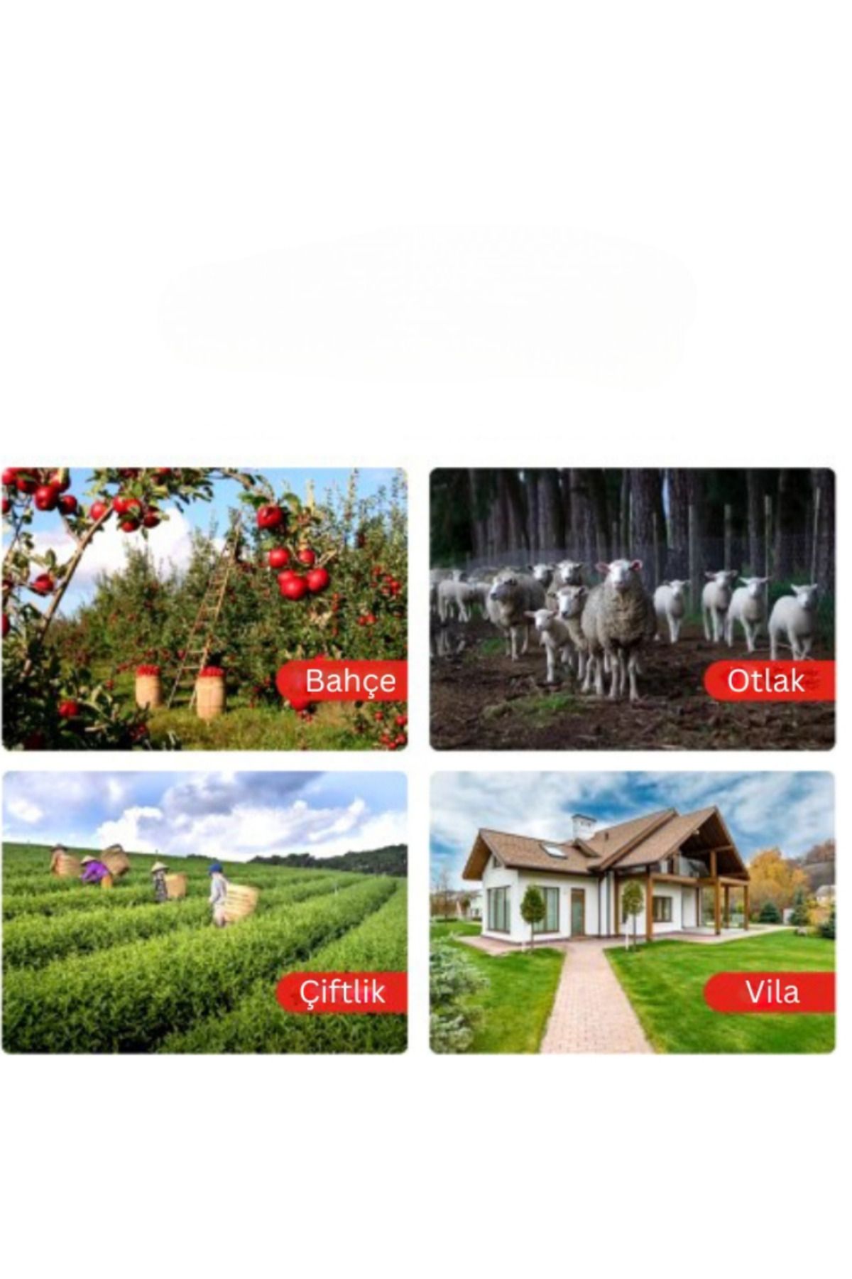https://cdn.dsmcdn.com/ty1603/prod/QC/20241120/17/2e1d6e5e-396b-317f-95c1-96caf9d7d0a5/1_org_zoom.jpg