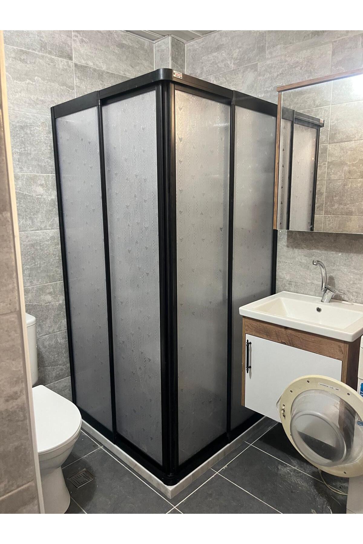 Black Color Profile Dolphin Pattern Mica Shower Cabin