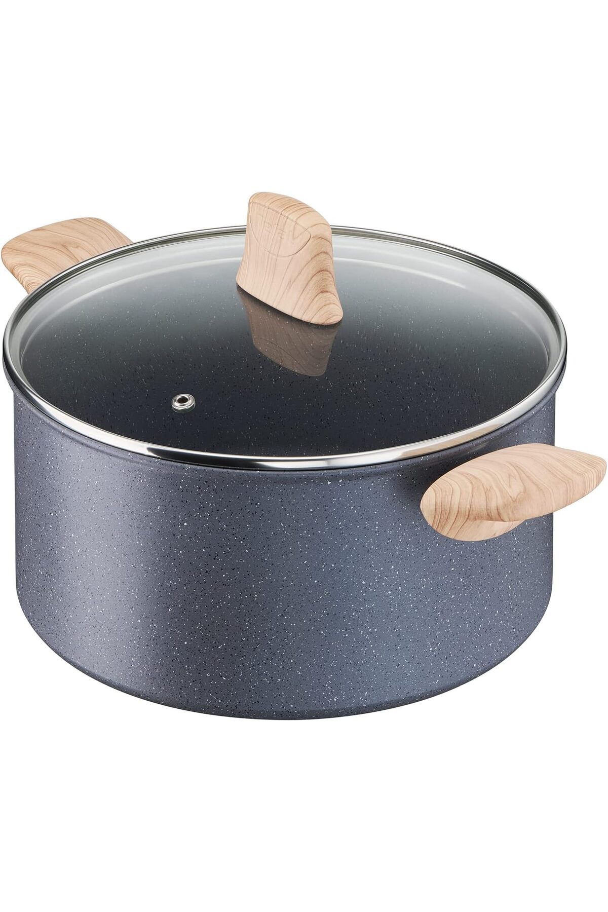 TEFAL-وعاء الطبخ |   قوة طبيعية 24 كاسيرول 3