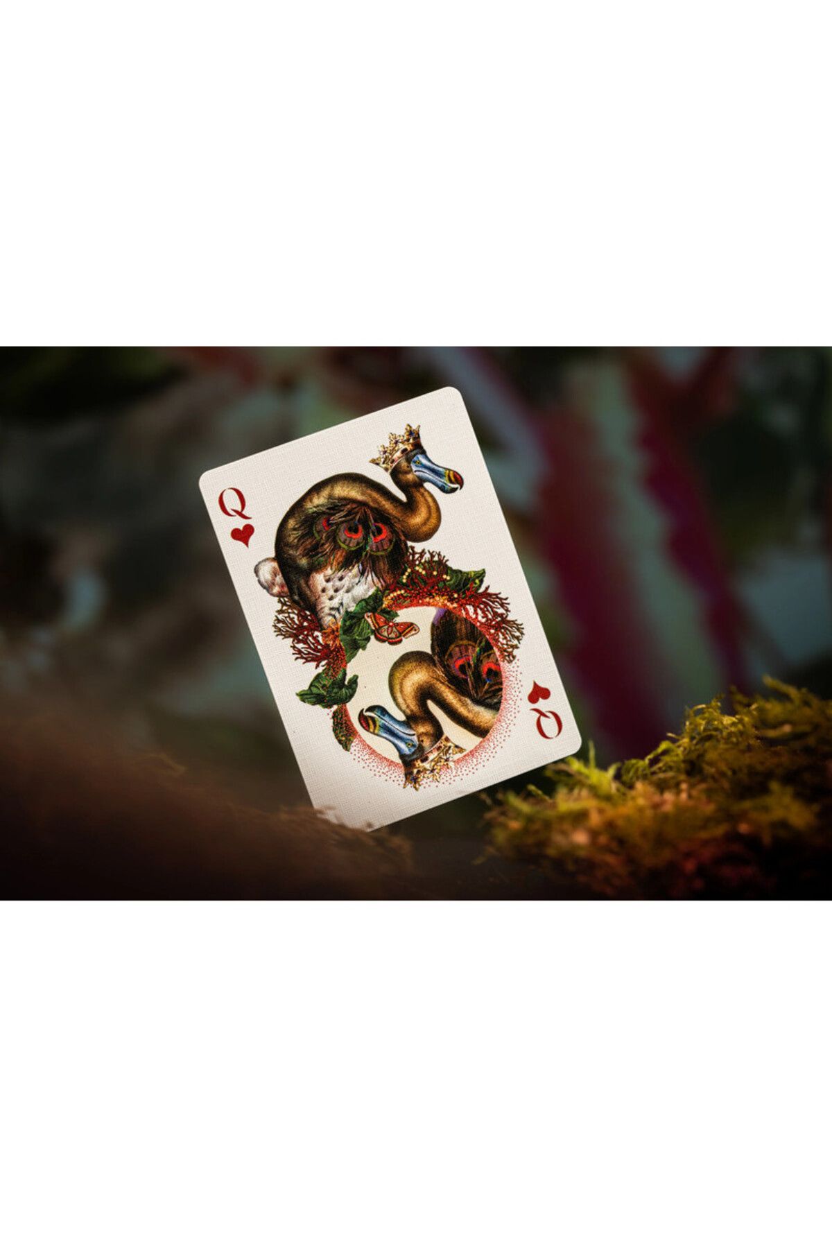 Theory11-Moooi Extinct Animals - Limited Edition Game Card - Theory11 5