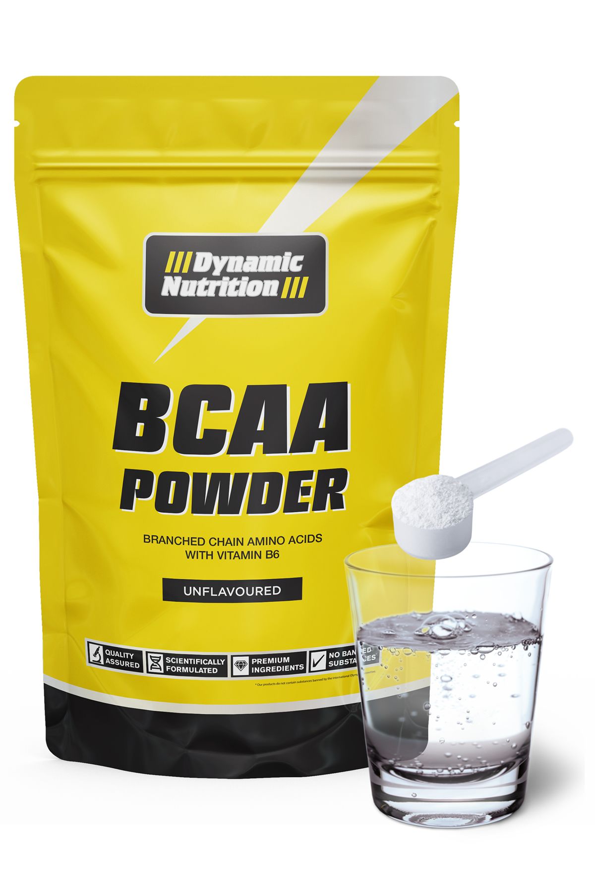 Dynamic Nutrition-Fitness Eco Essential Pack - Chocolate Color Whey Protein Powder, Creatine and Bcaa 3