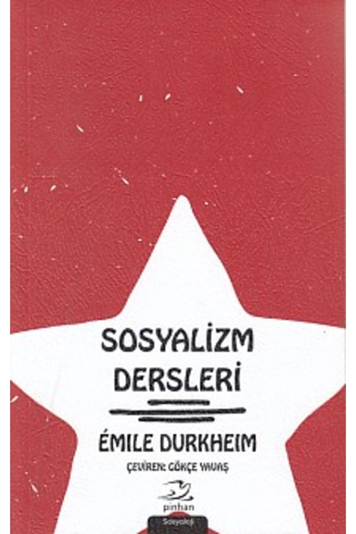 Destek Yayınları Sosyalizm Dersleri