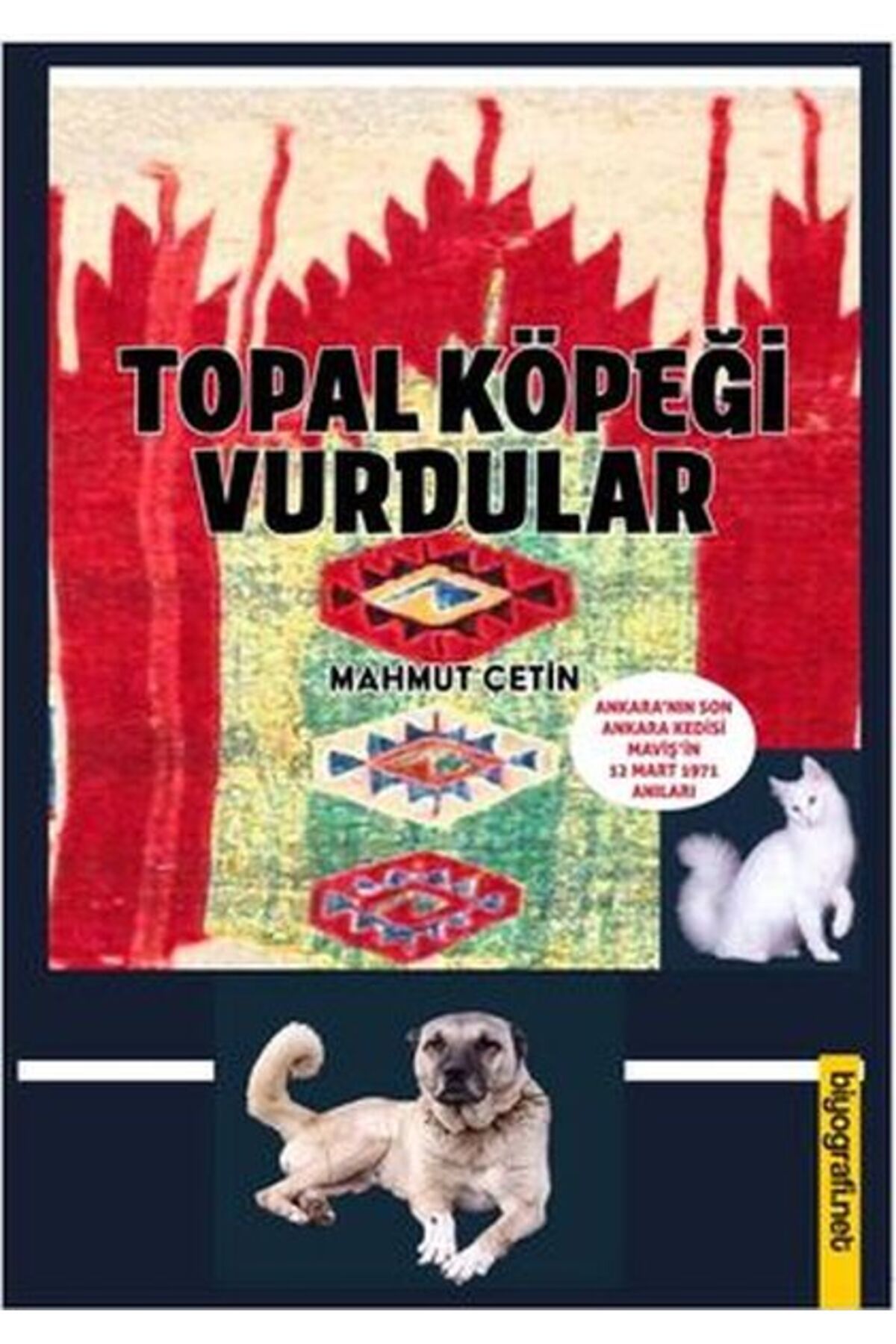 Biyografi Net Yayıncılık Topal Köpeği Vurdular