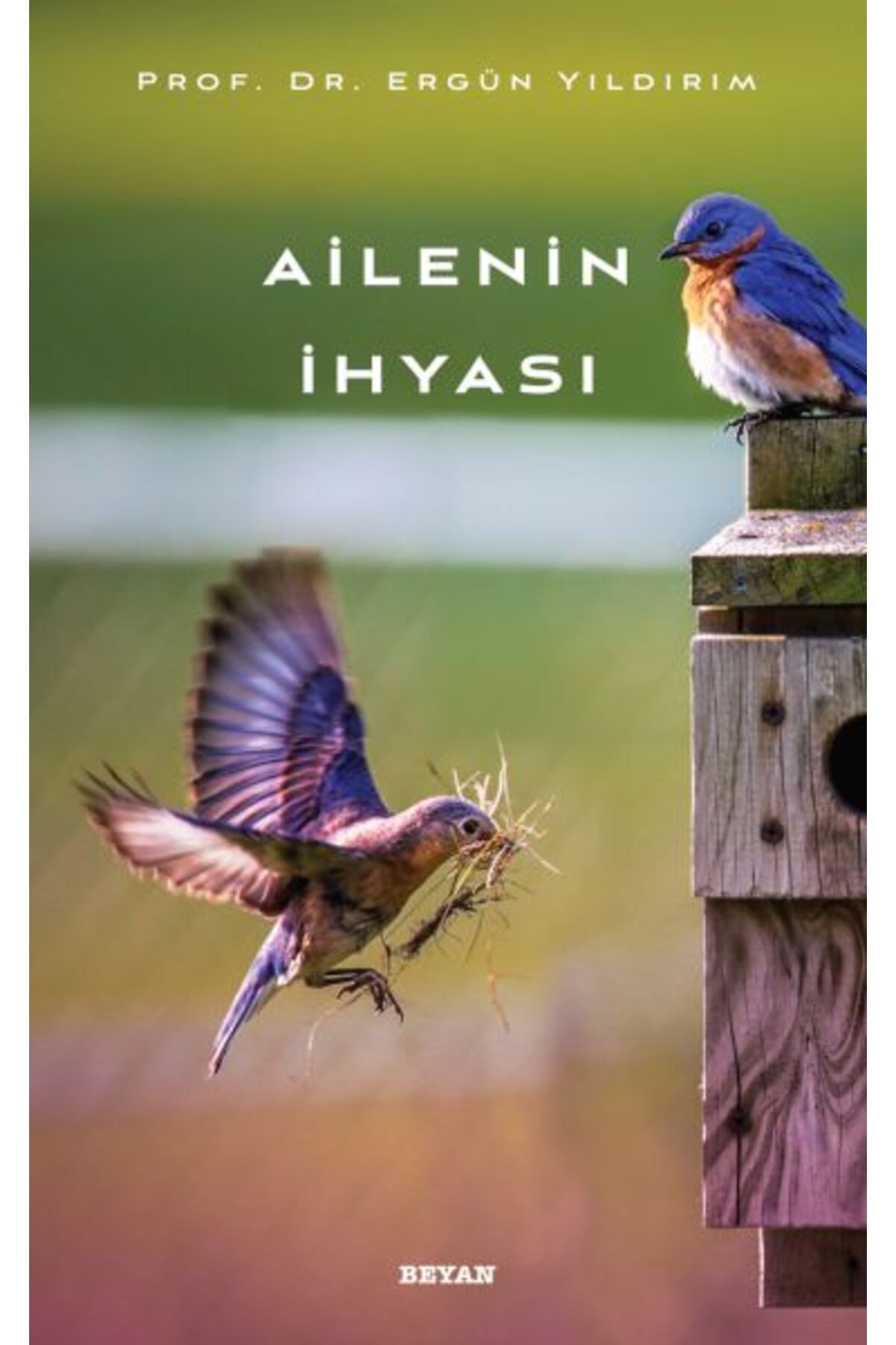 Beyan Yayınları Ailenin İhyası