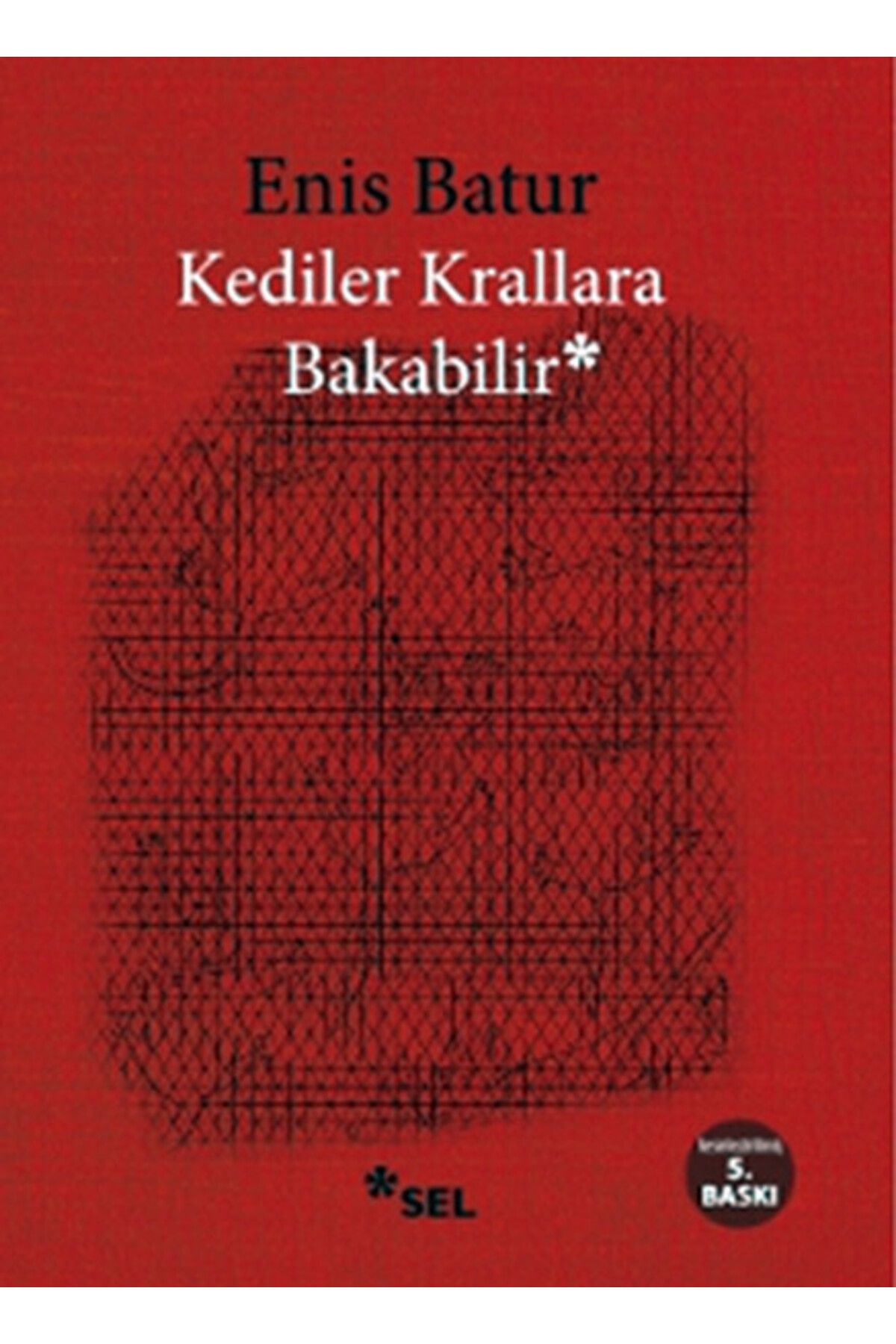 Destek Yayınları Kediler Krallara Bakabilir