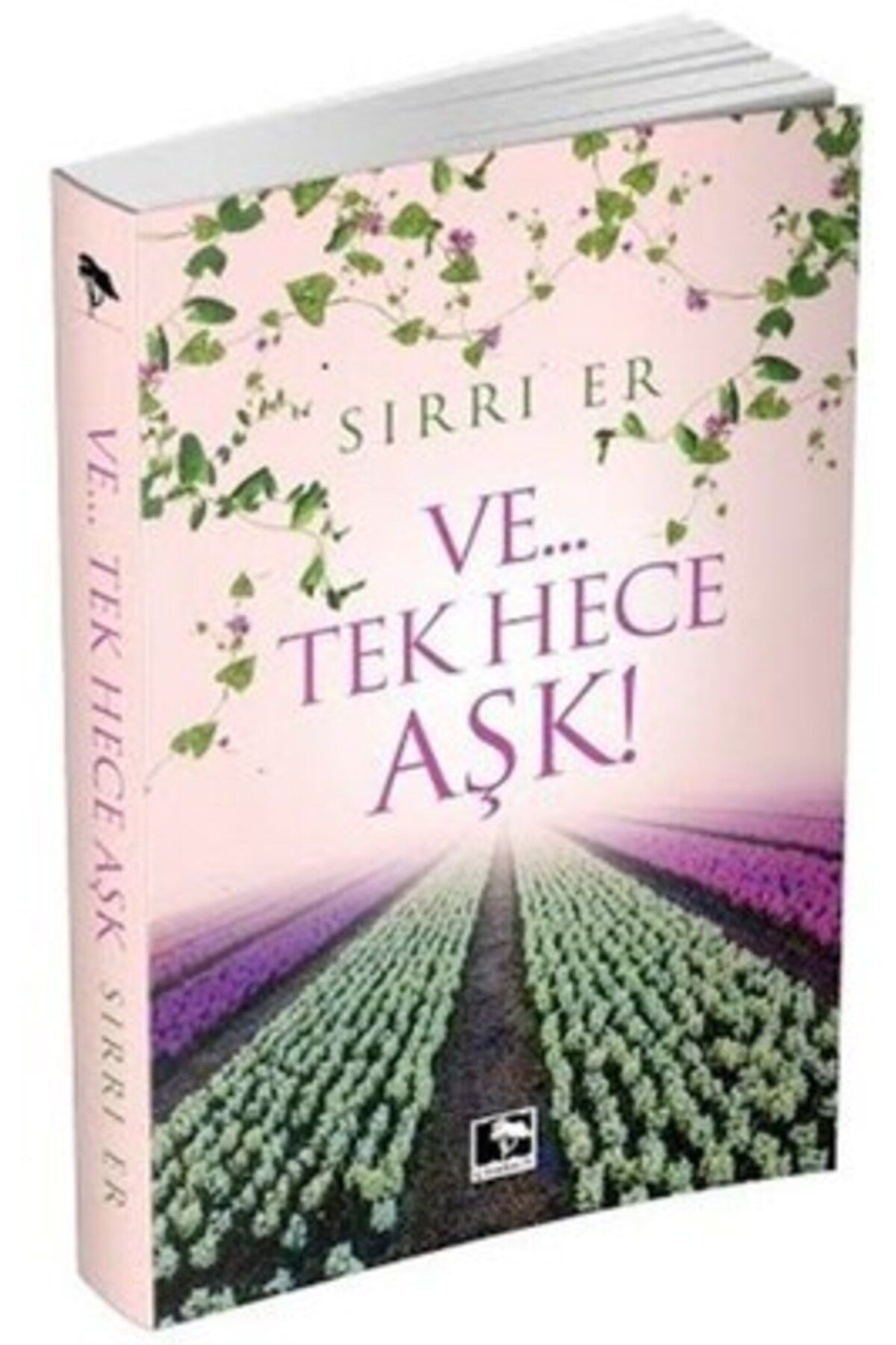 Çınaraltı Yayınları Ve…Tek Hece Aşk!