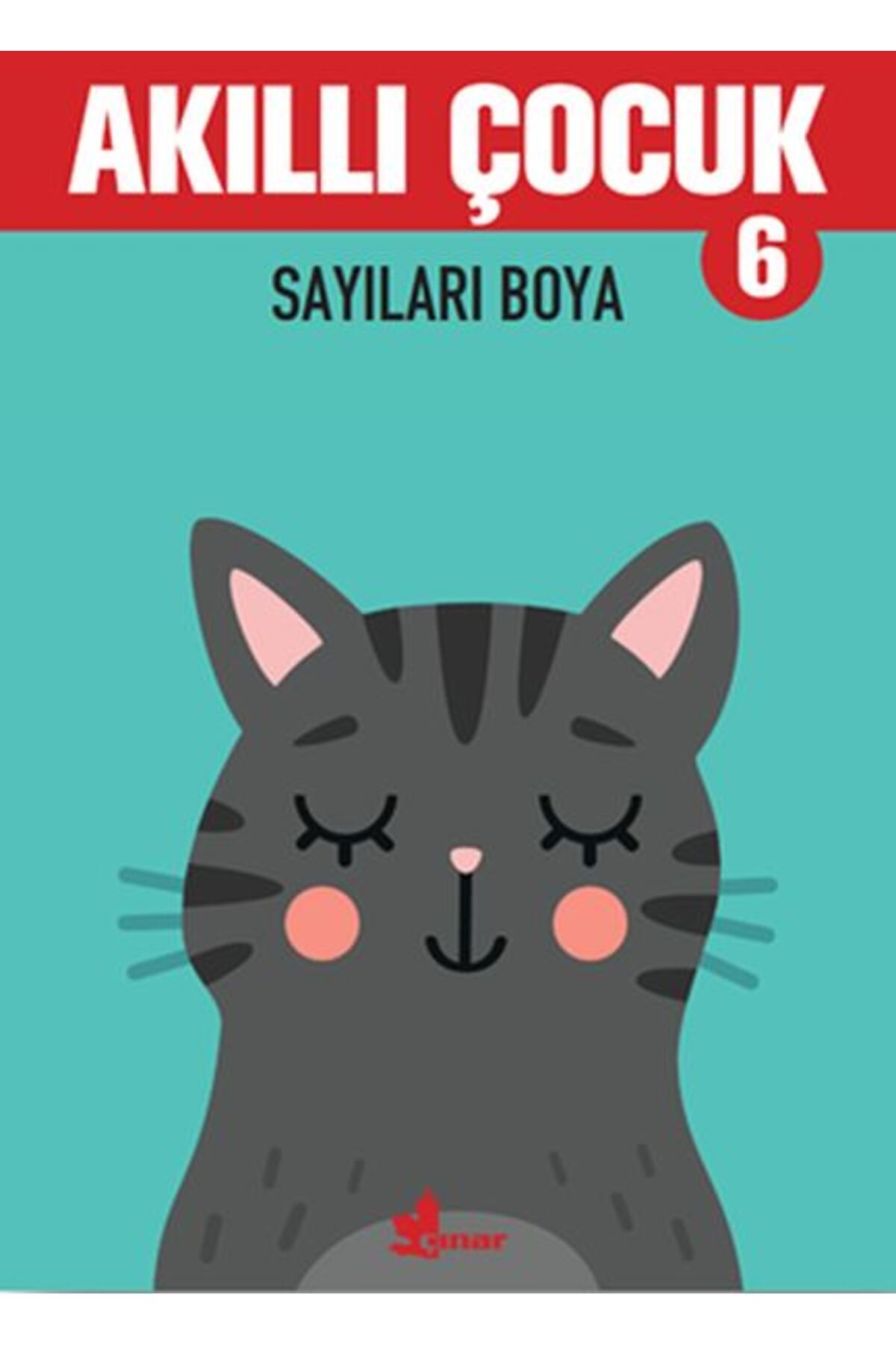 Çınar Yayınları Sayıları Boya - Akıllı Çocuk 6