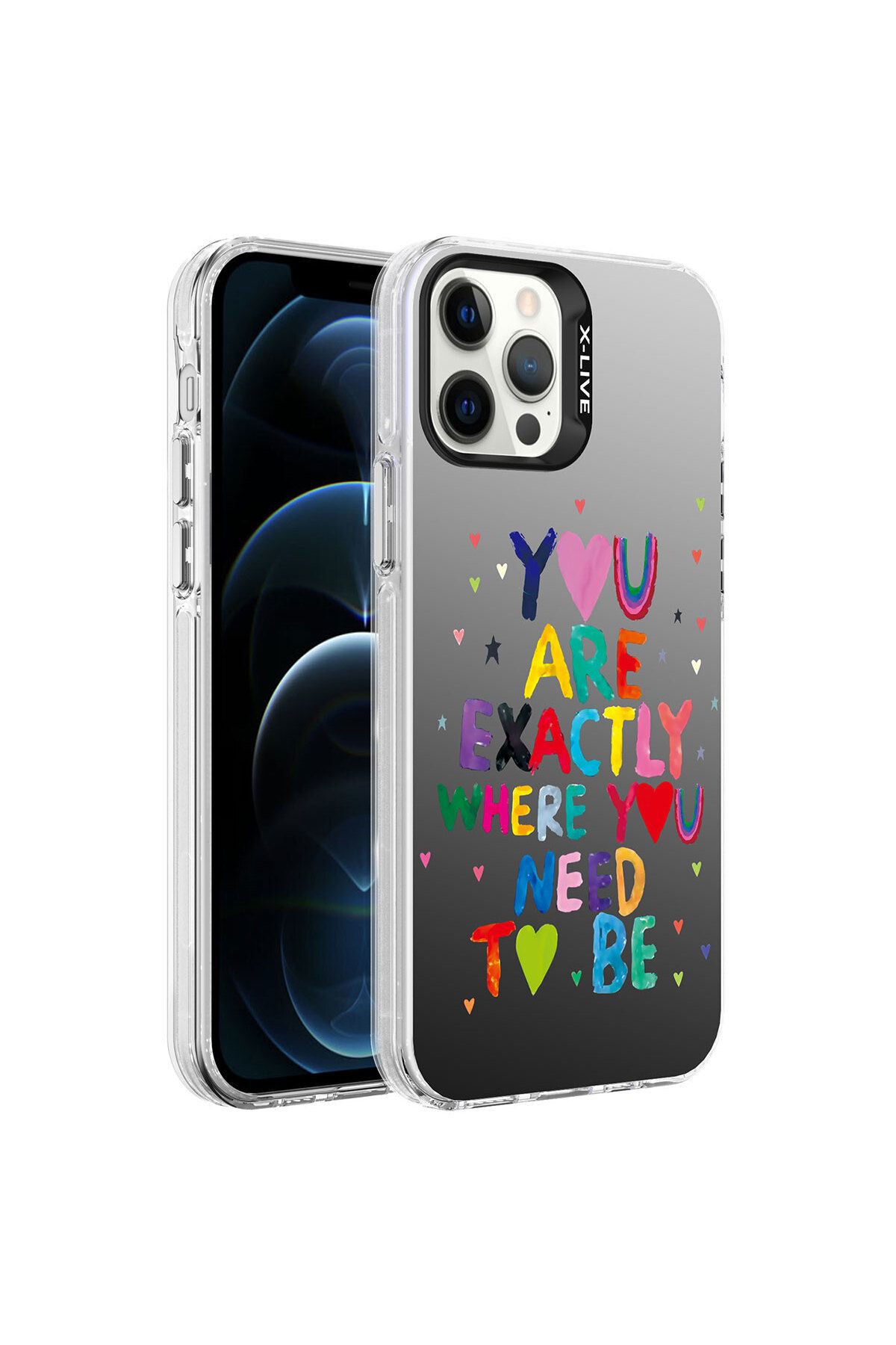 ZM STORE Apple  iPhone 12 Pro Max Uyumlu Kılıf Parlak Yüzeyli Desenli Silver Sert Kapak