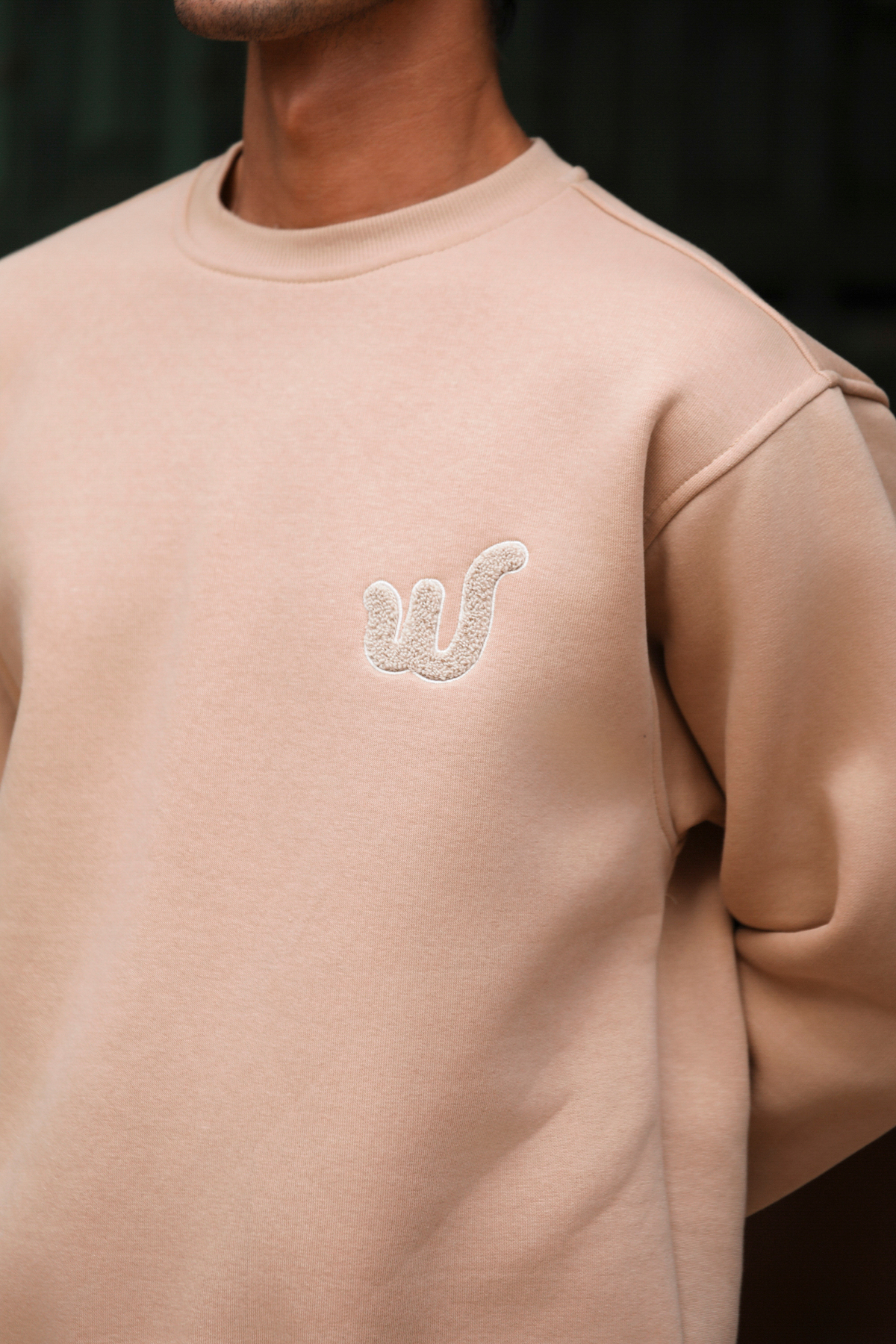 Whish  Viento Sand Regular Fit Üç İplik Sweatshirt - Görsel 3