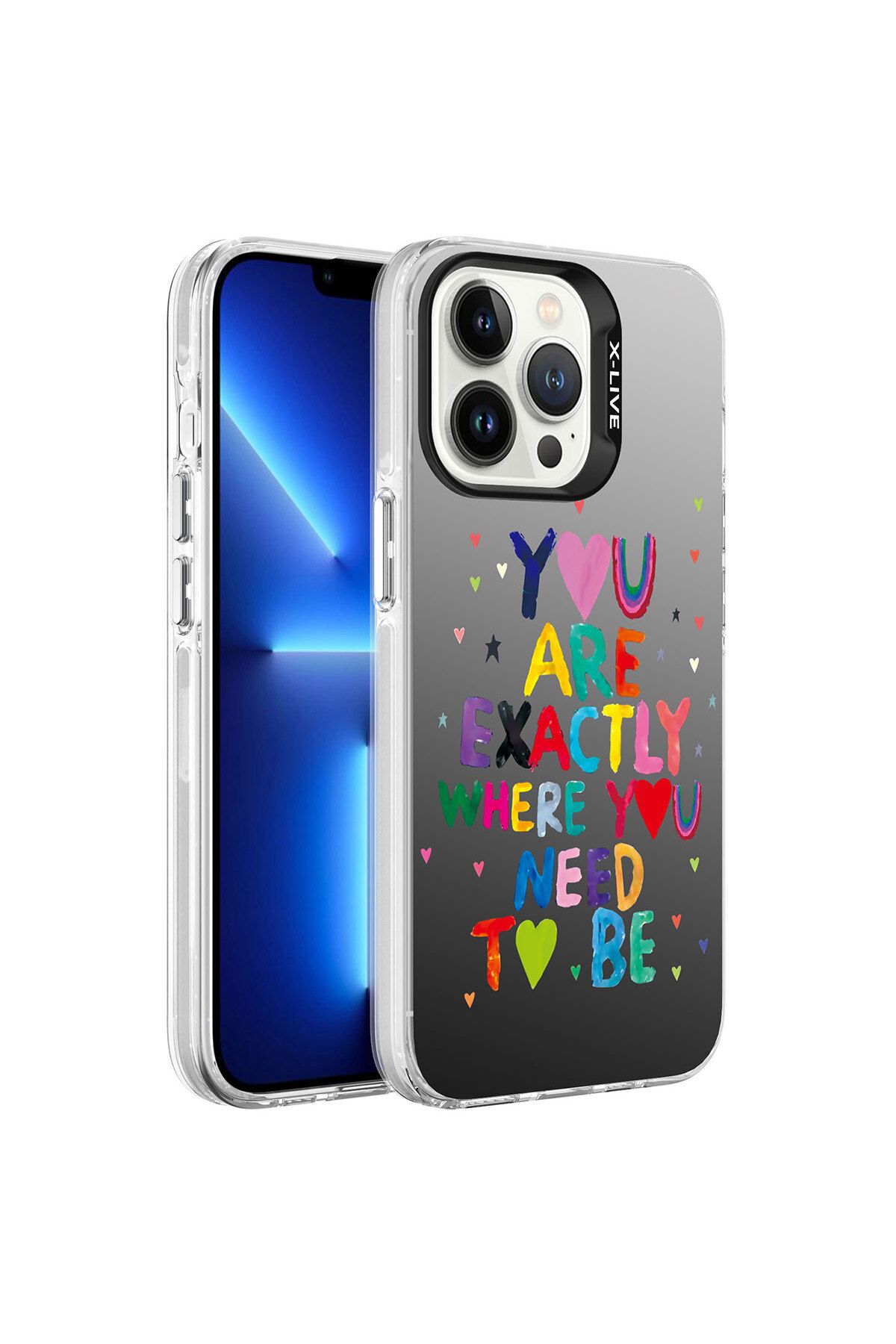 ZM STORE Apple  iPhone 13 Pro Max Uyumlu Kılıf Parlak Yüzeyli Desenli Silver Sert Kapak