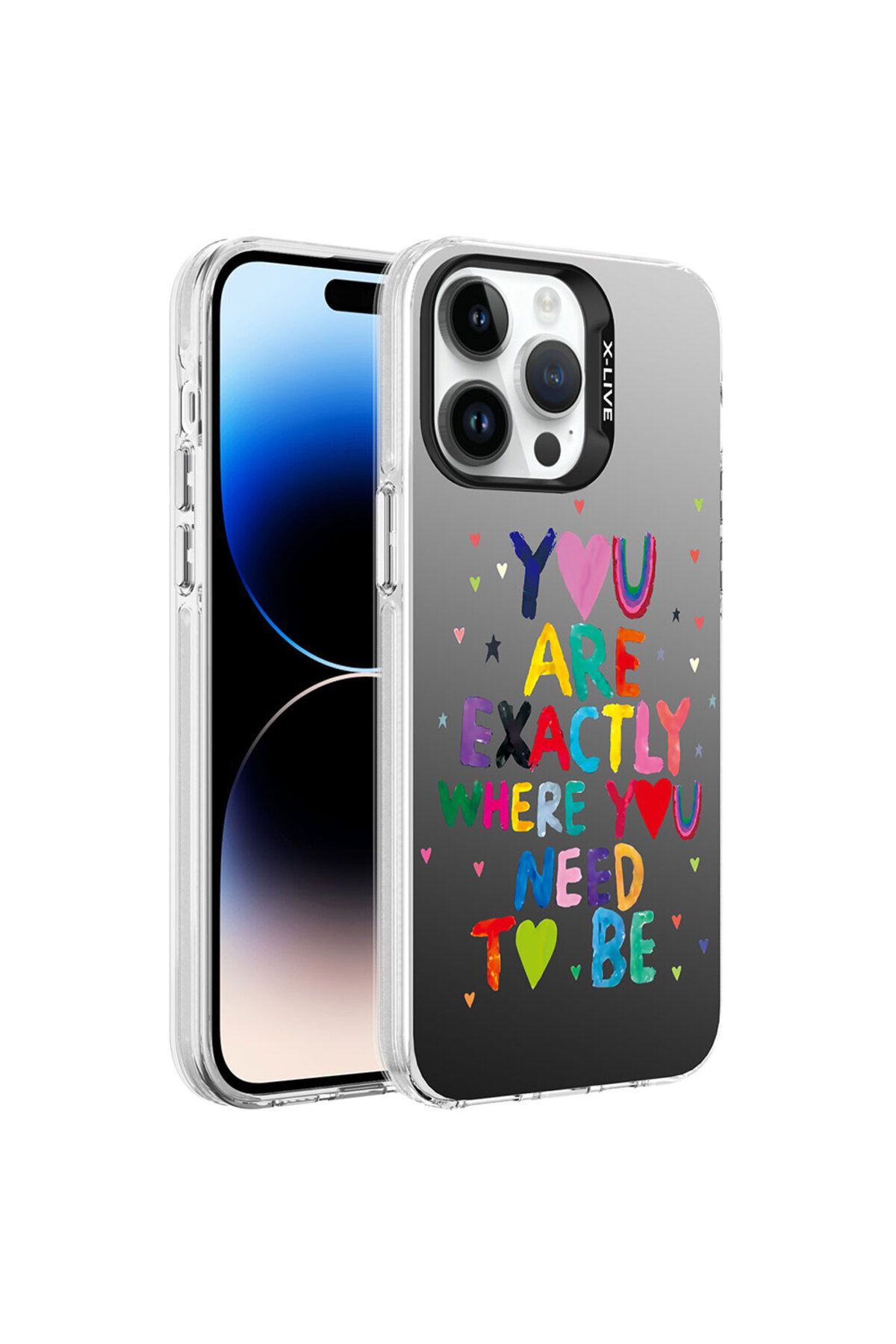 ZM STORE Apple  iPhone 14 Pro Max Uyumlu Kılıf Parlak Yüzeyli Desenli Silver Sert Kapak