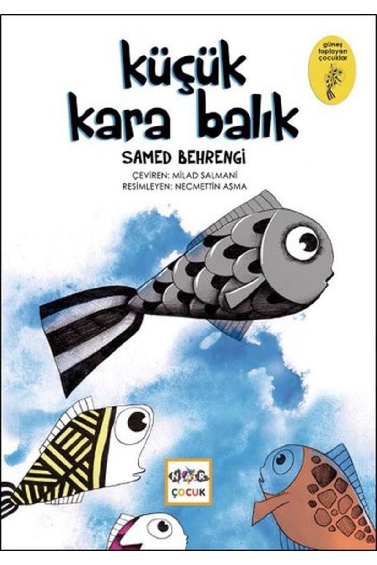 Türk Dil Kurumu Yayınları Küçük Kara Balık