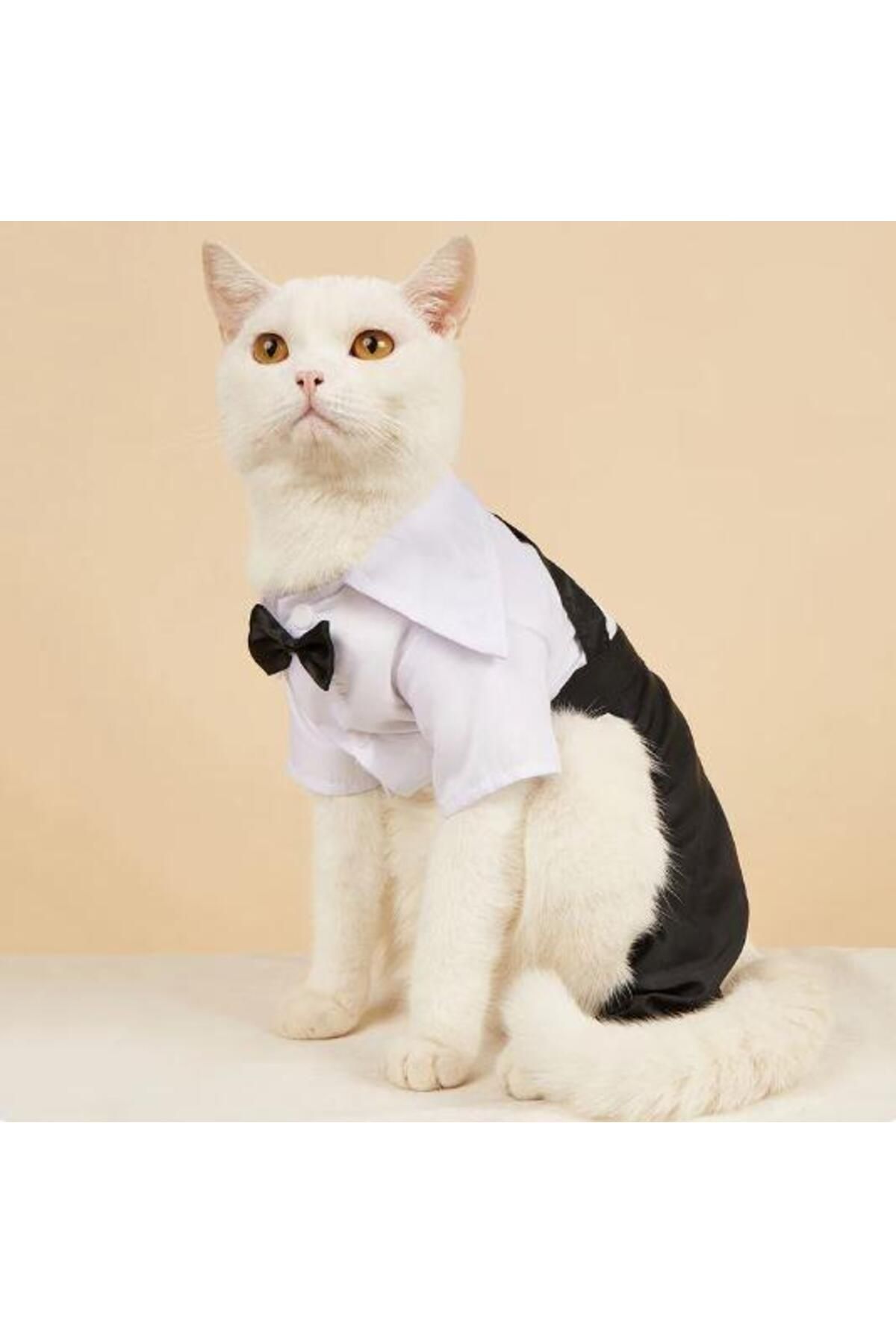 Kemique-Tuxedo Tuxedo Cat Clothes Groom Suit 5