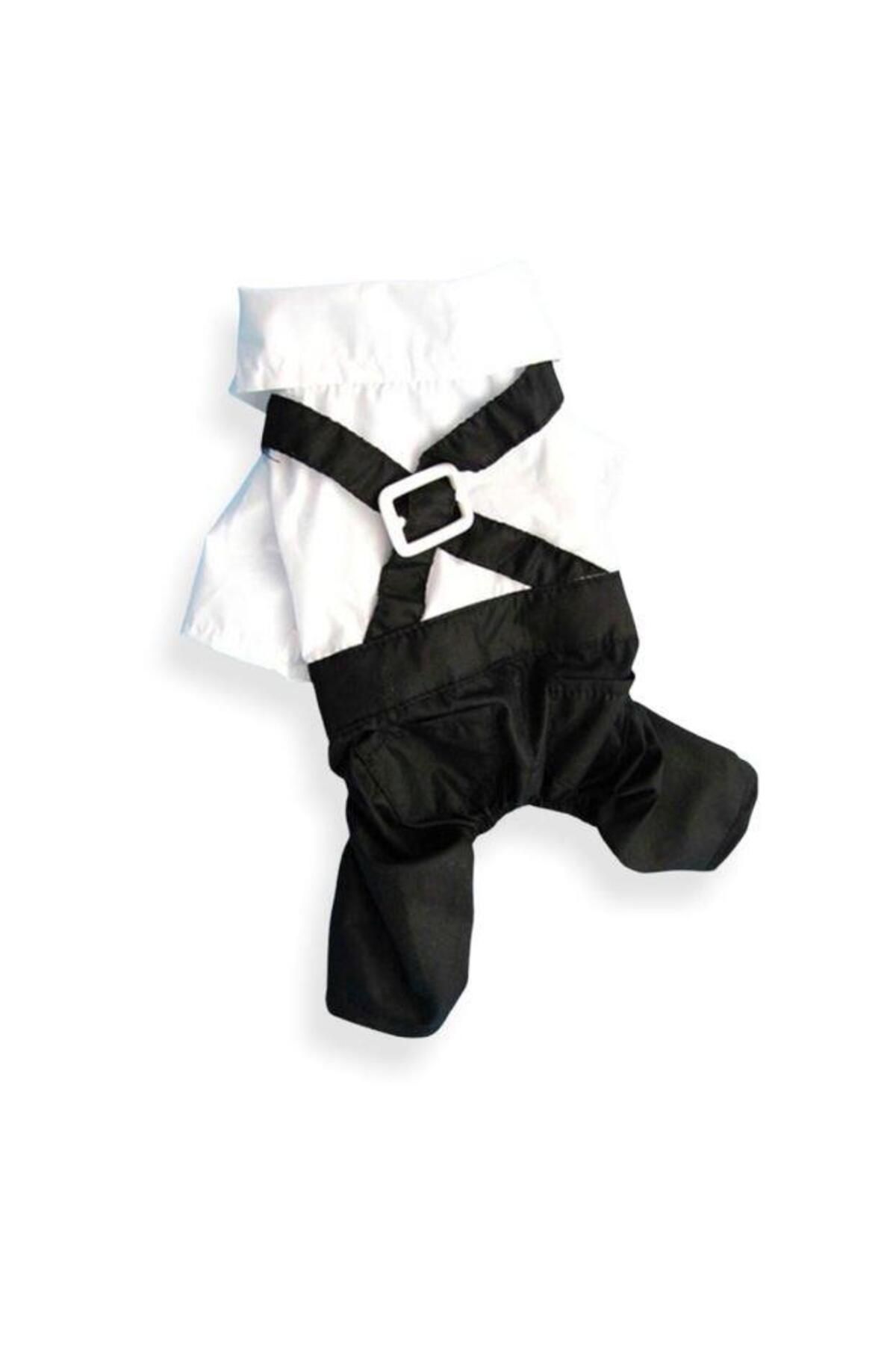 Kemique-Tuxedo Tuxedo Cat Clothes Groom Suit 3